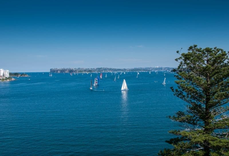 29 The Crescent, MANLY NSW 2095, Manly - Thumbnail 7