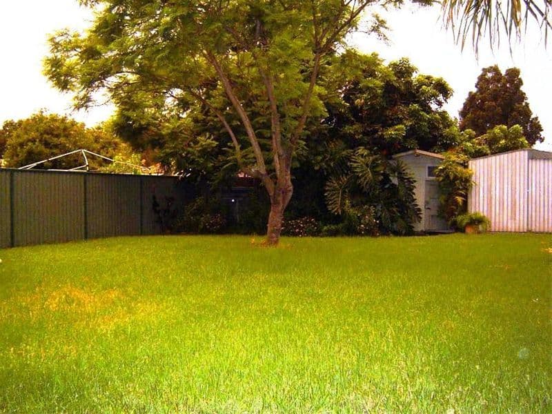 12  Mimosa Street, GRANVILLE NSW 2142, Granville - Thumbnail 5