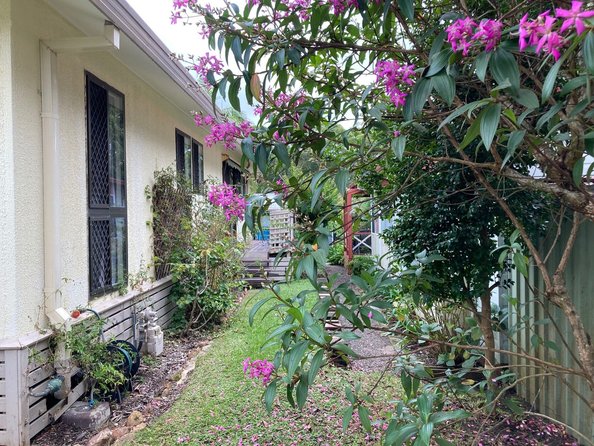 241 Arthur Phillip Place, Kincumber NSW 2251, Kincumber - Thumbnail 8