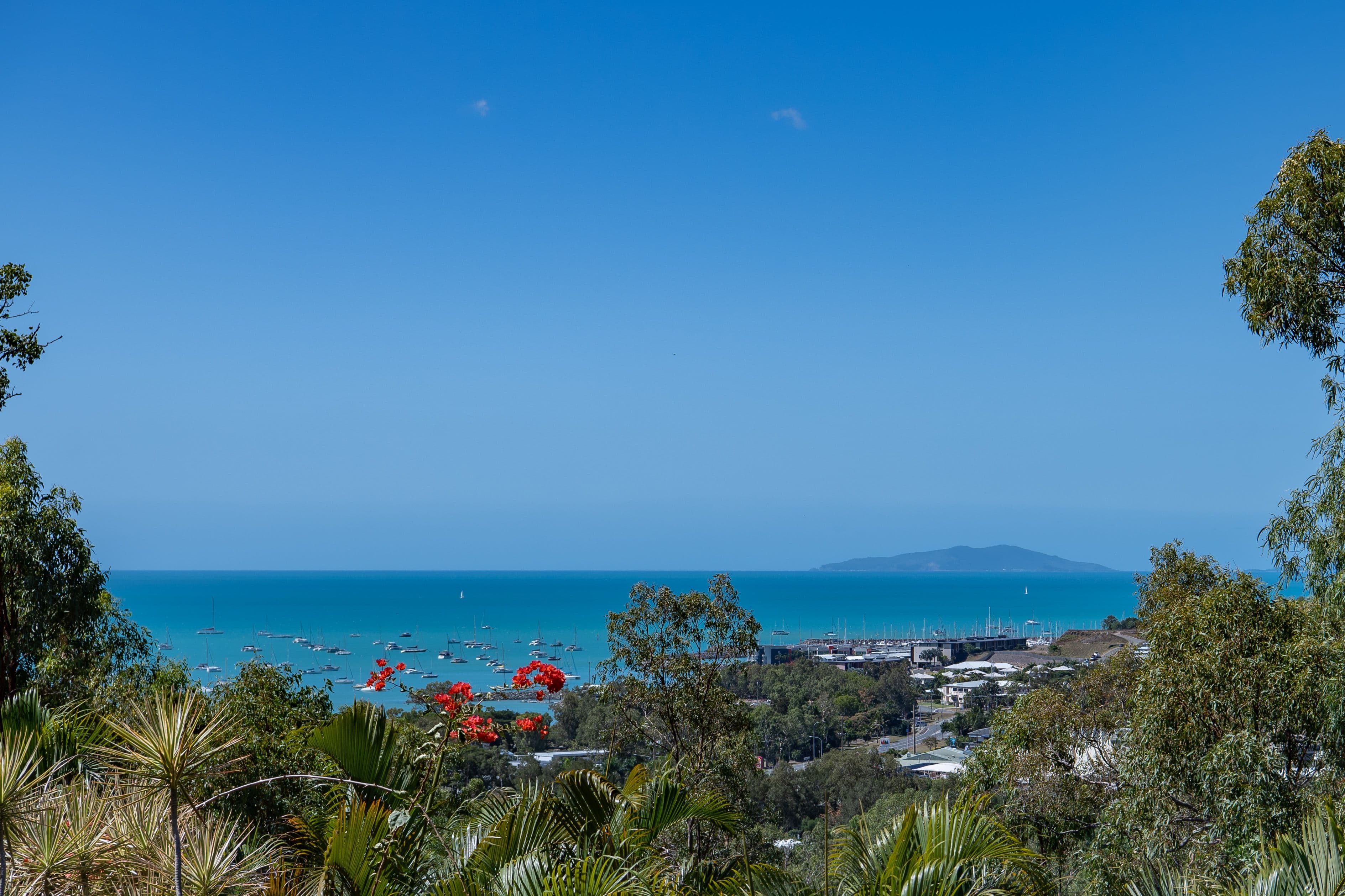 26 Parkwood Terrace, Cannonvale QLD 4802, Cannonvale - Thumbnail 5