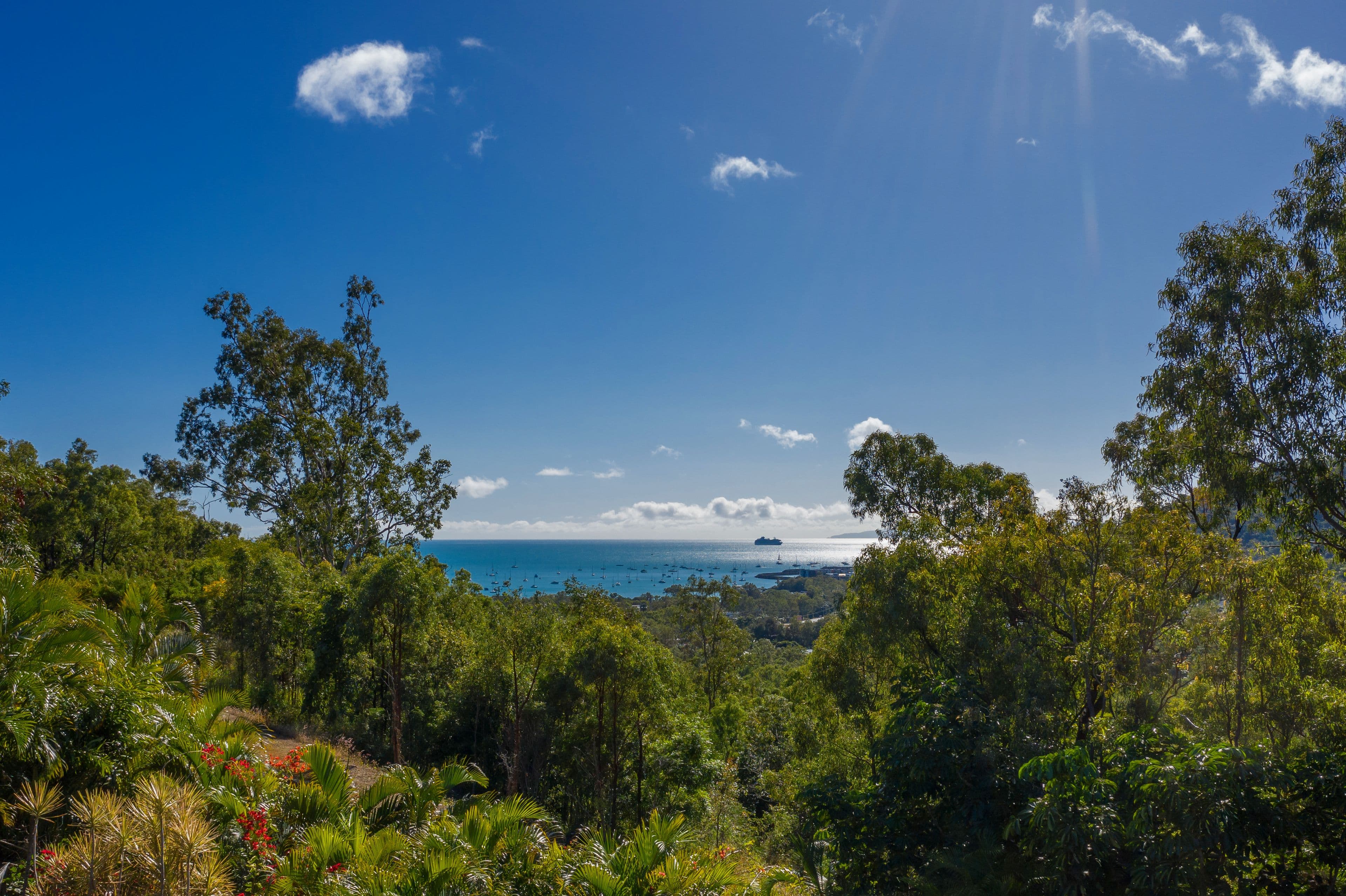 26 Parkwood Terrace, Cannonvale QLD 4802, Cannonvale - Thumbnail 7