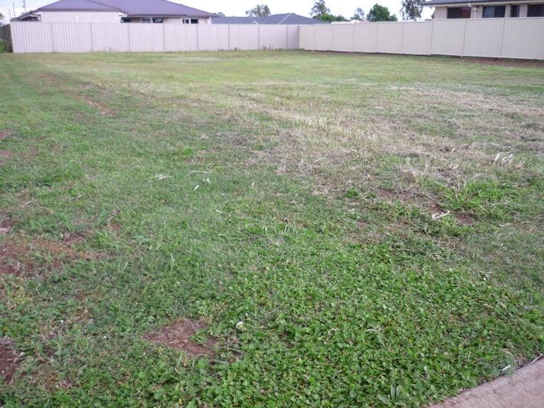 35 Berghofer Drive, OAKEY QLD 4401, Oakey - Thumbnail 2