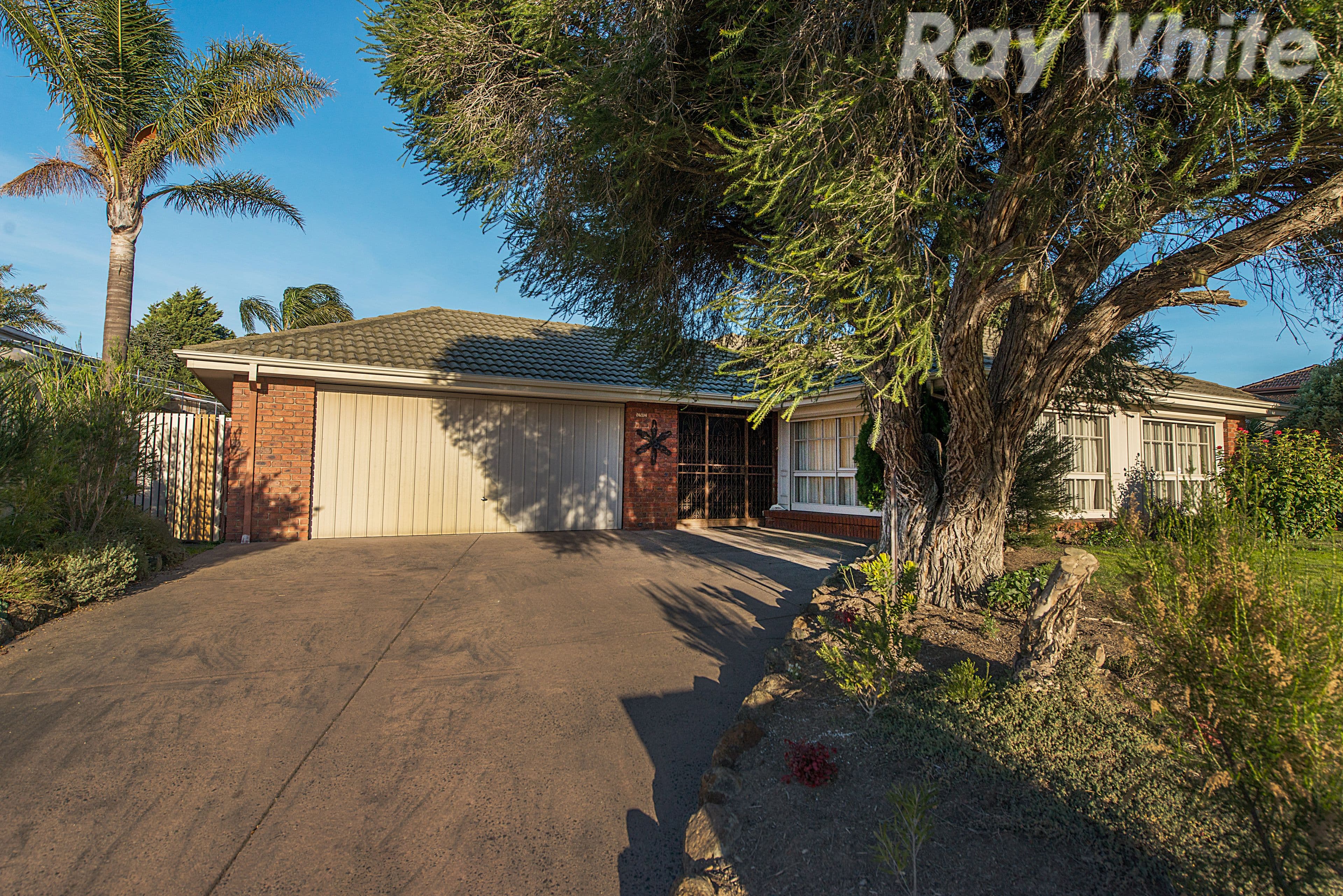 78 Daniel Solander Drive, Endeavour Hills VIC 3802, Endeavour Hills - Image 1