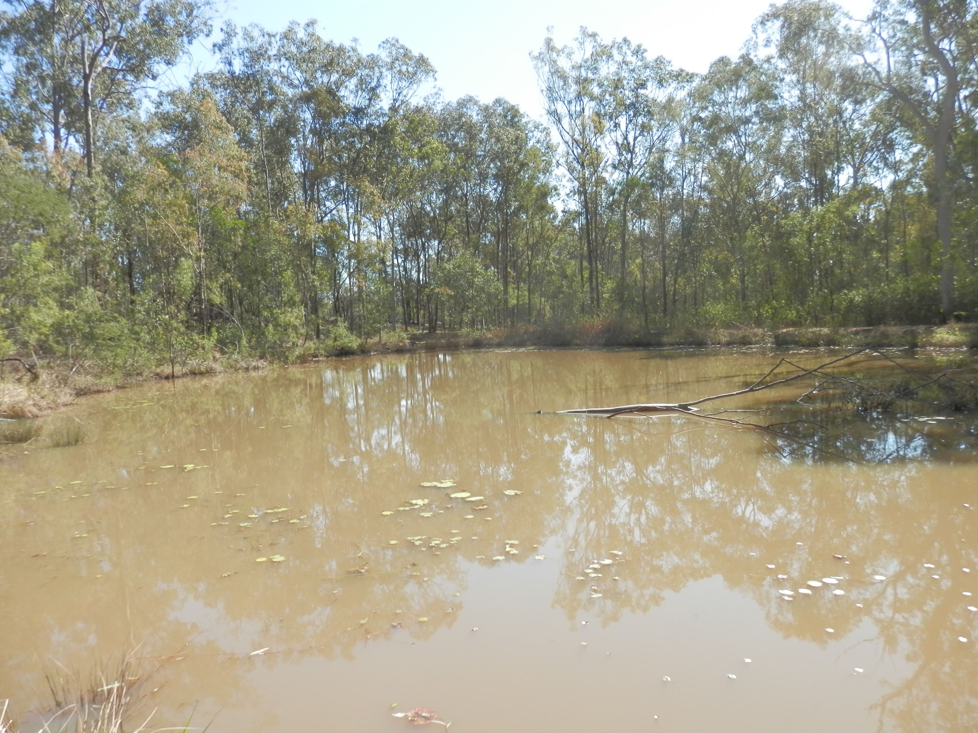 Lot 220 Rifle Range Road, Deebing Heights QLD 4306, Deebing Heights - Thumbnail 3