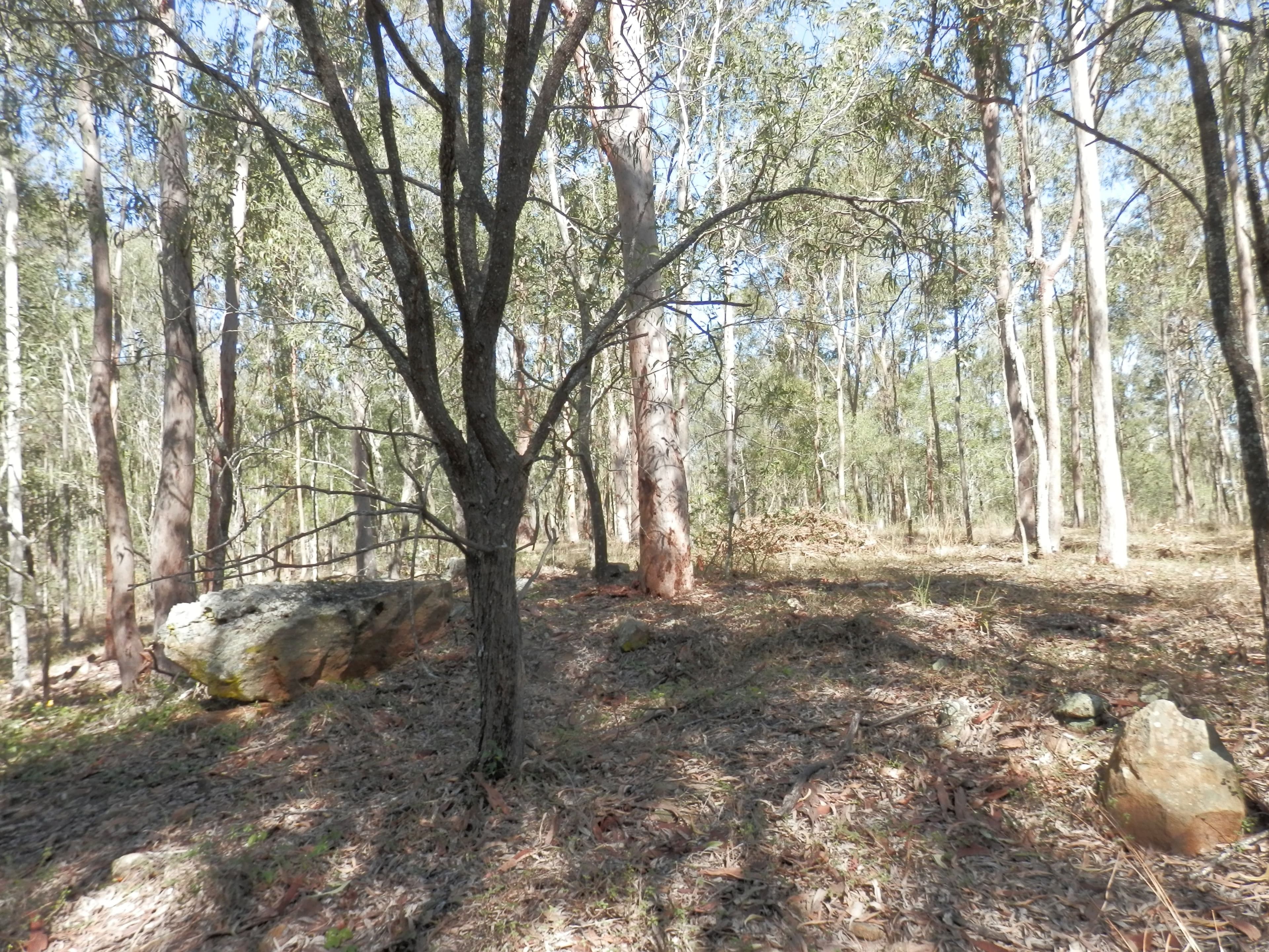 Lot 220 Rifle Range Road, Deebing Heights QLD 4306, Deebing Heights - Thumbnail 4