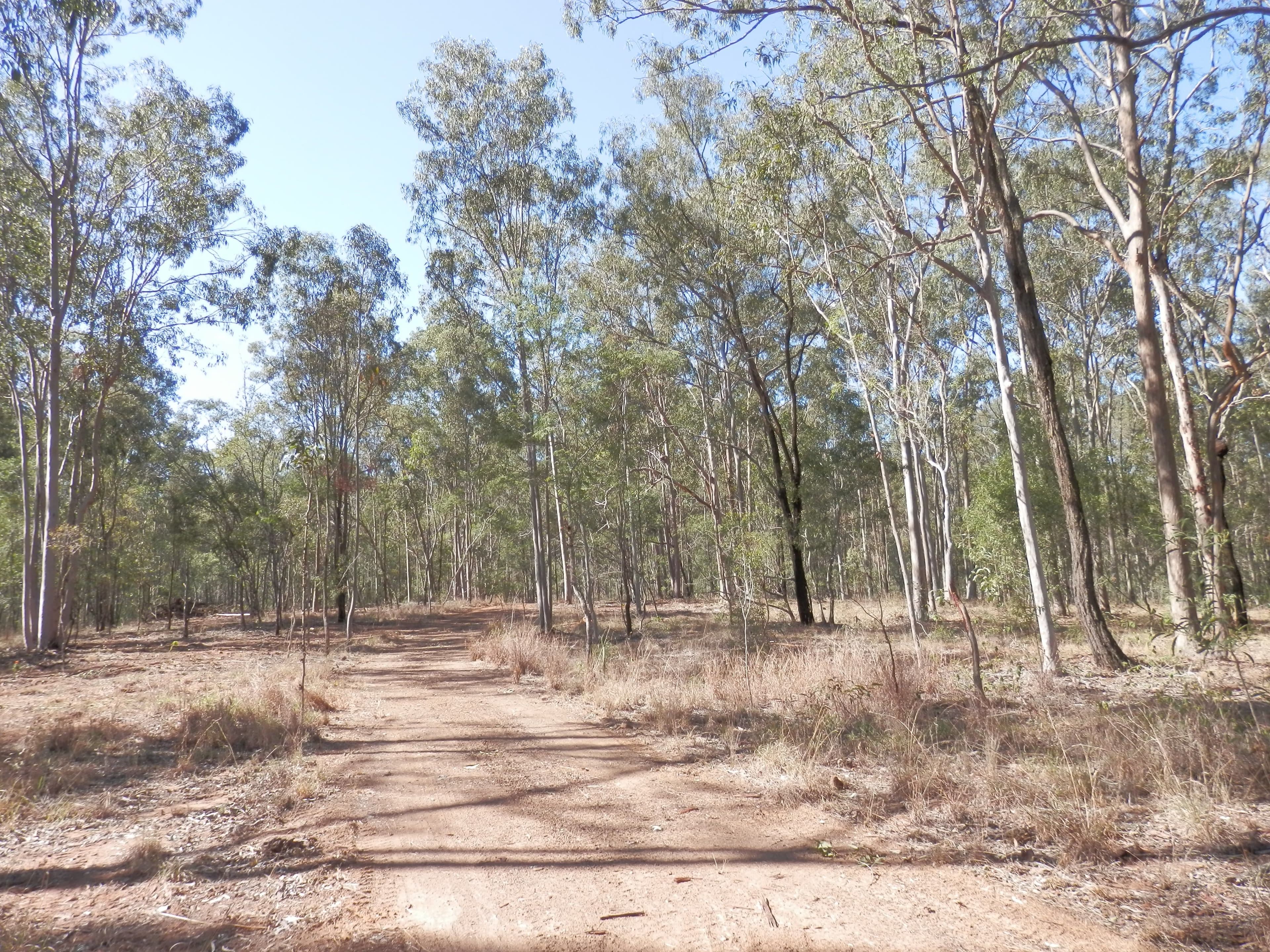 Lot 220 Rifle Range Road, Deebing Heights QLD 4306, Deebing Heights - Thumbnail 5
