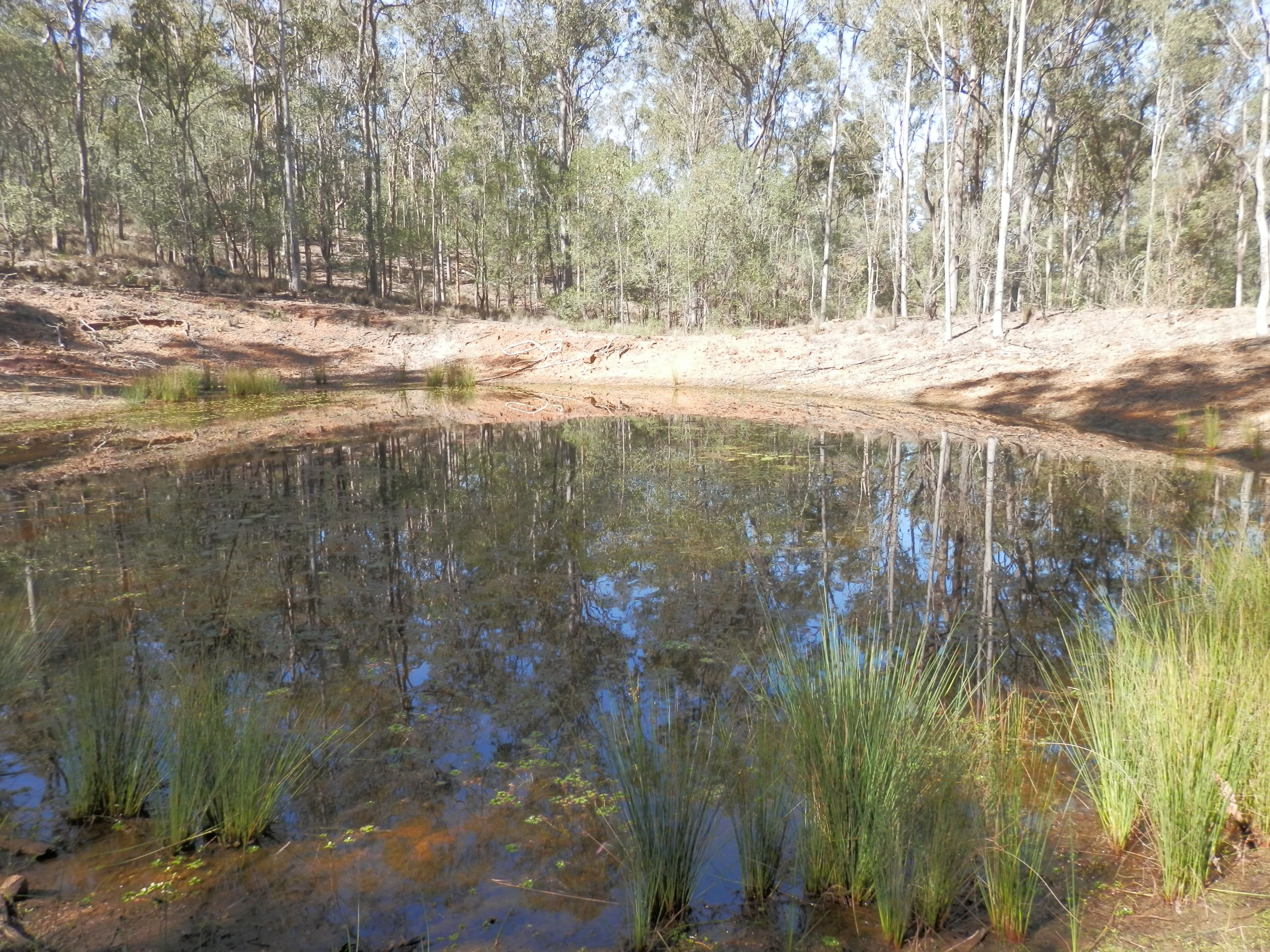Lot 220 Rifle Range Road, Deebing Heights QLD 4306, Deebing Heights - Thumbnail 7