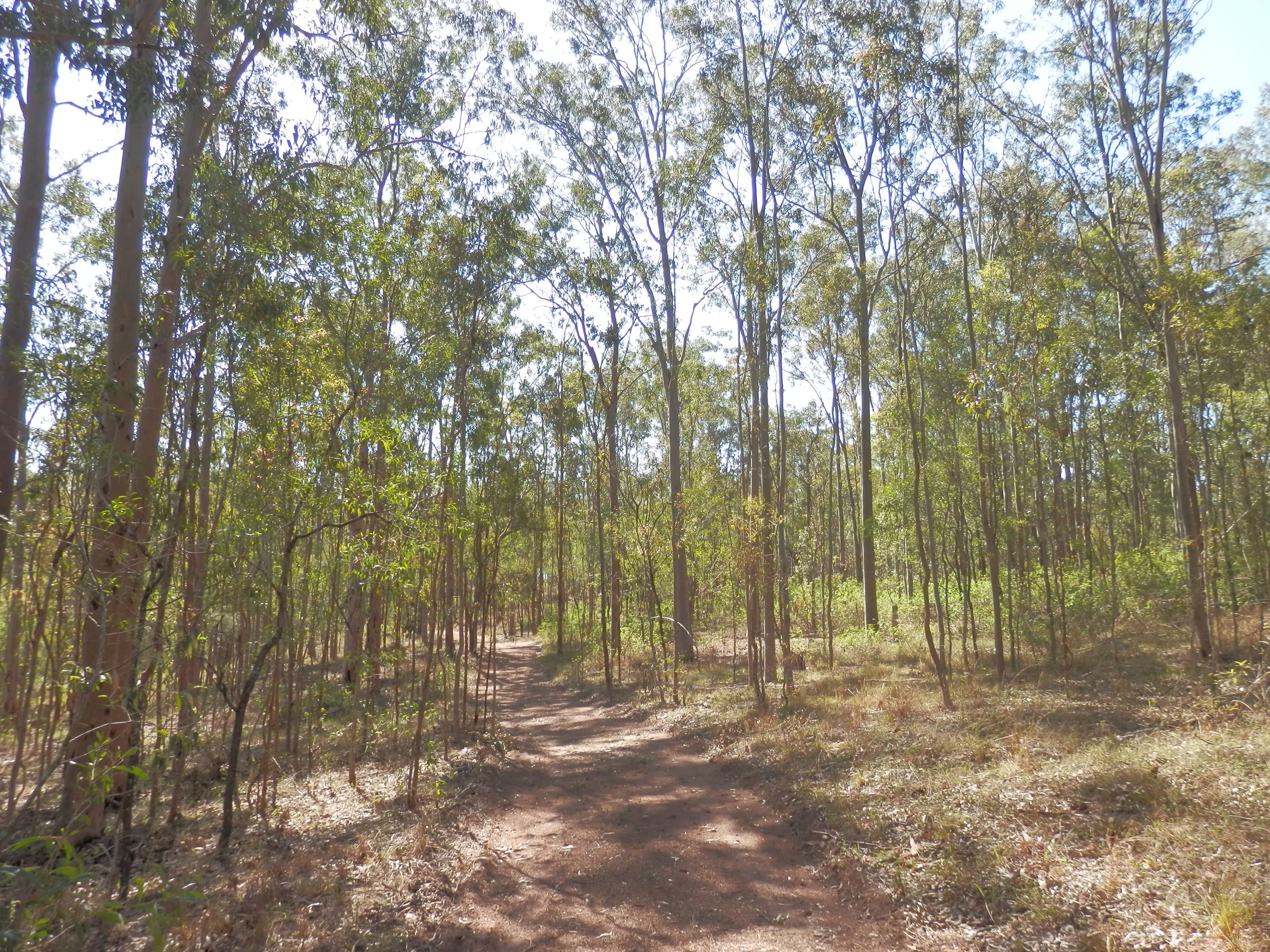 Lot 220 Rifle Range Road, Deebing Heights QLD 4306, Deebing Heights - Thumbnail 8