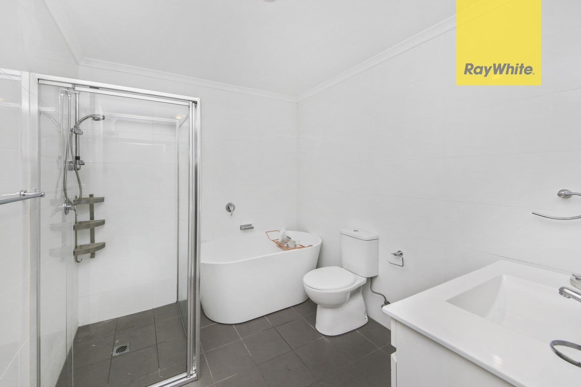 91 Arthur Street, Rosehill NSW 2142, Rosehill - Thumbnail 7