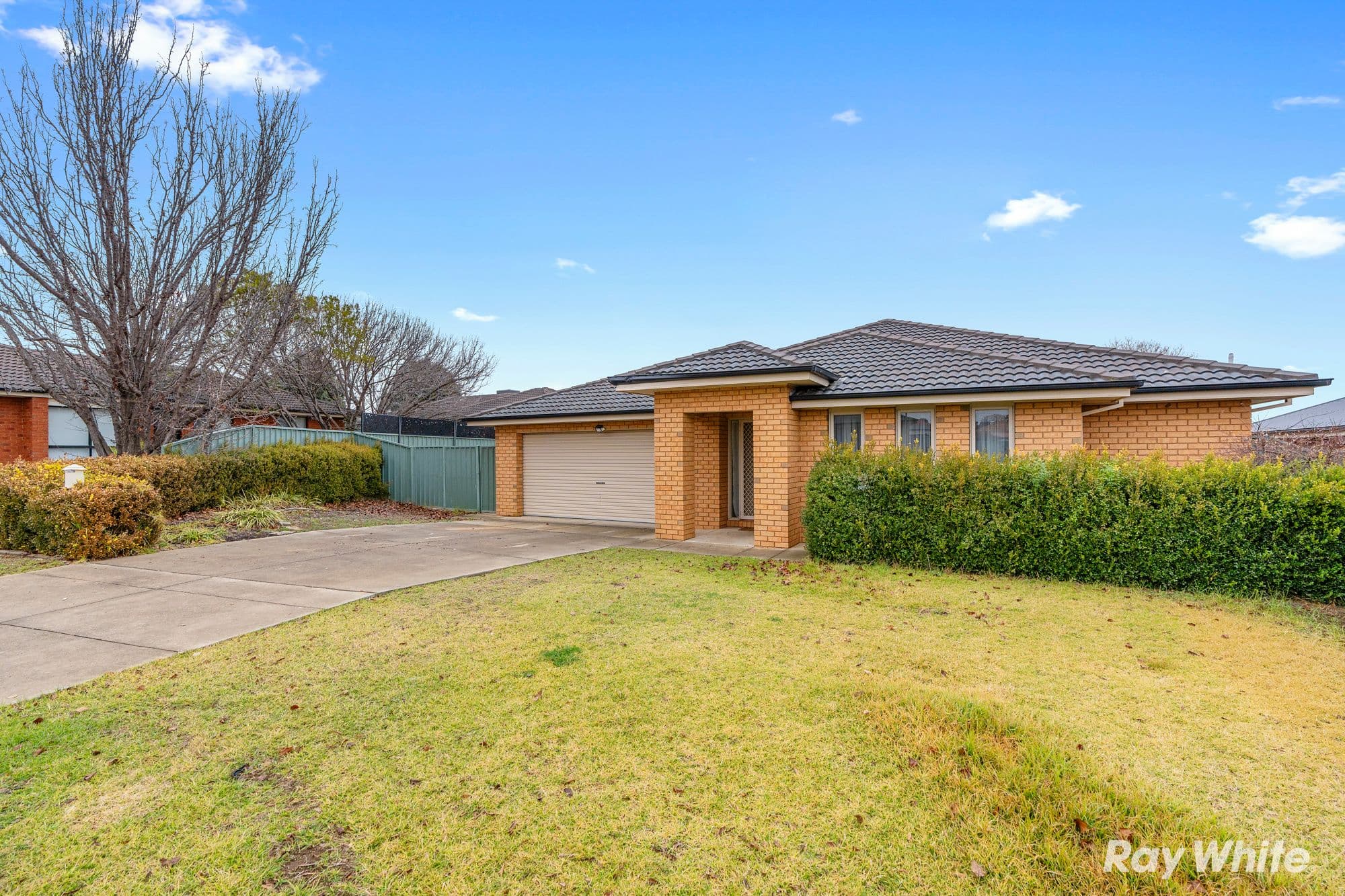 9 Protea Place, FOREST HILL NSW 2651, Forest Hill - Thumbnail 2
