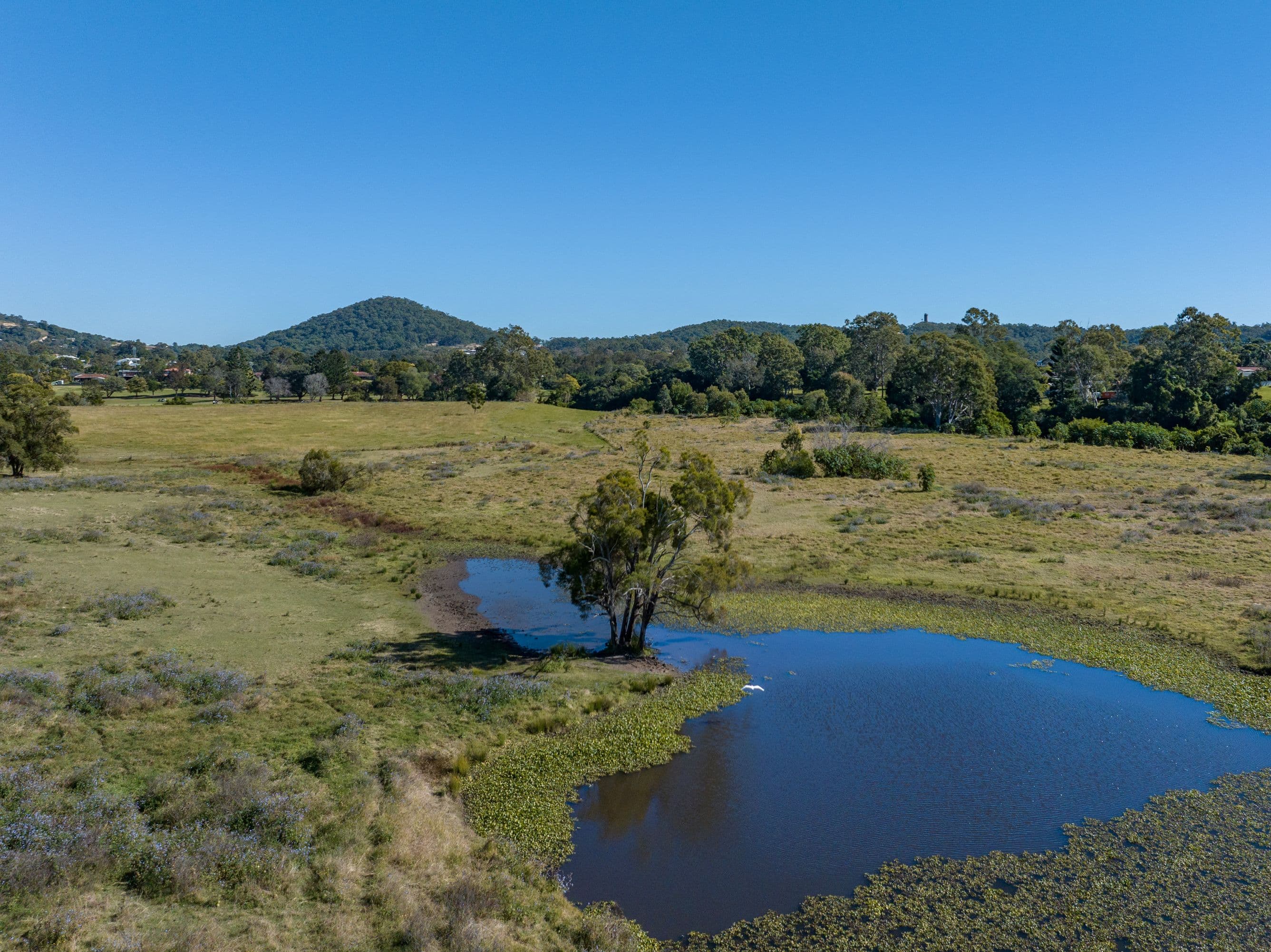 9 Jackson Lane, Yatala QLD 4207, Yatala - Thumbnail 6