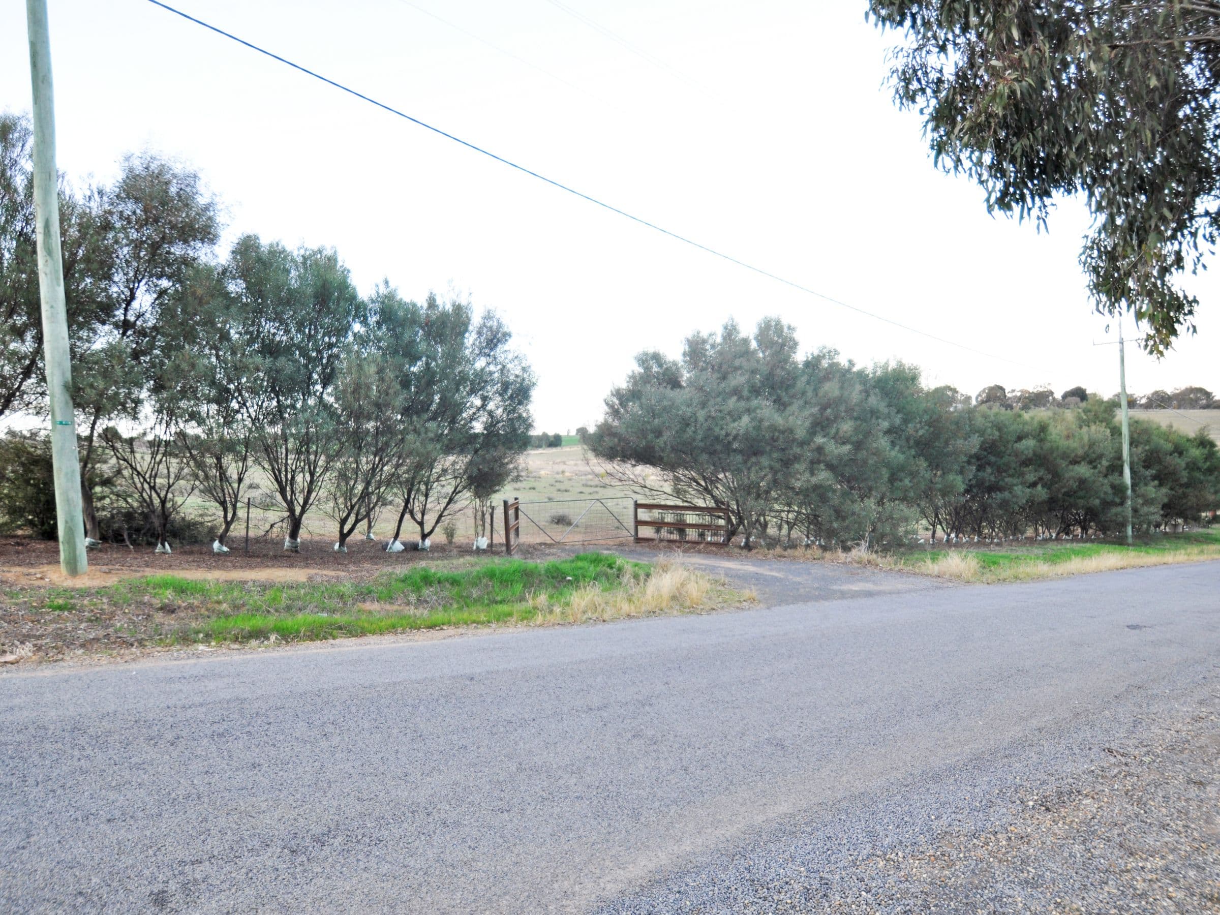 69 Tathra Drive, Junee NSW 2663, Junee - Image 1