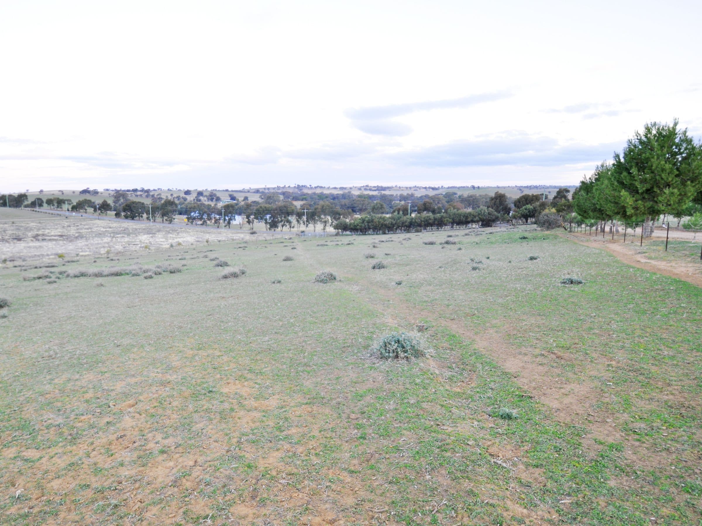 69 Tathra Drive, Junee NSW 2663, Junee - Thumbnail 2