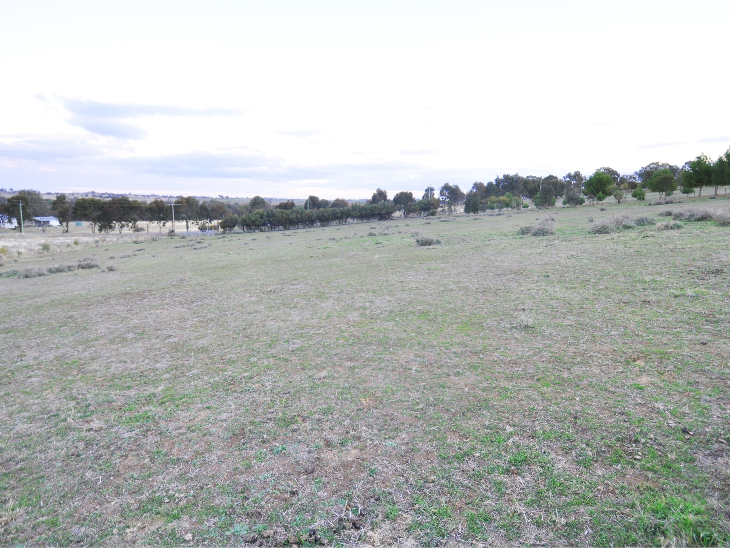 69 Tathra Drive, Junee NSW 2663, Junee - Thumbnail 3