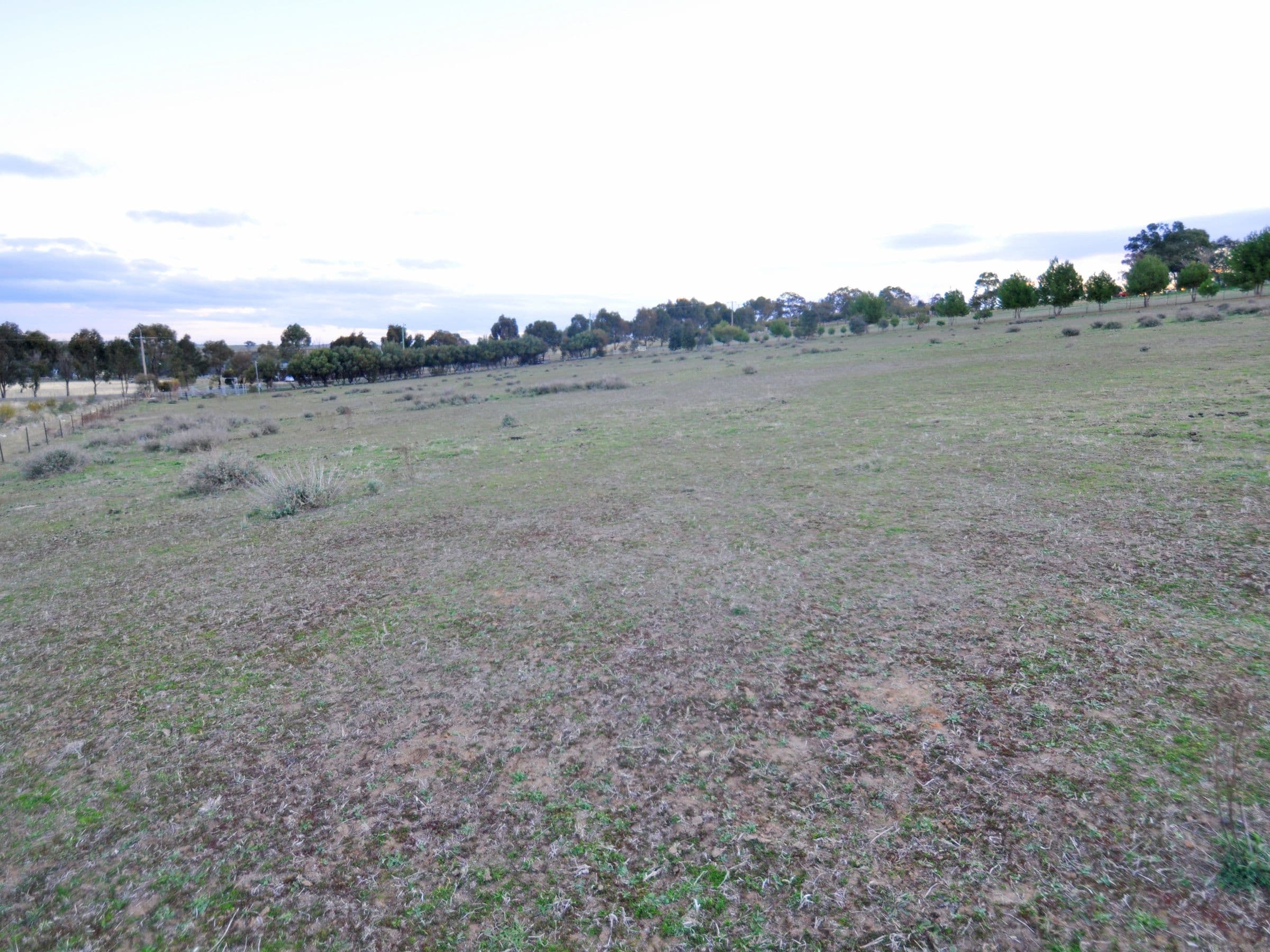 69 Tathra Drive, Junee NSW 2663, Junee - Thumbnail 4