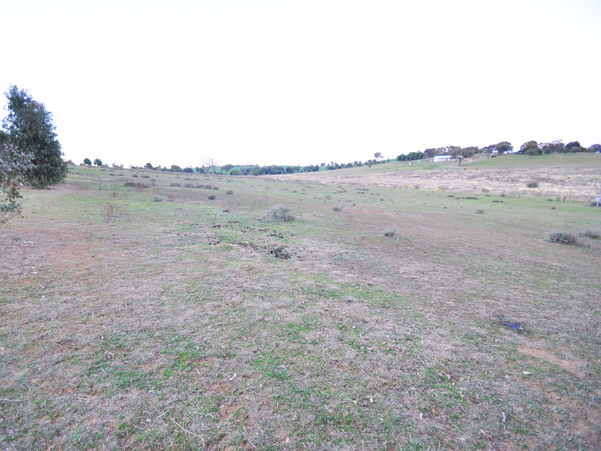 69 Tathra Drive, Junee NSW 2663, Junee - Thumbnail 6