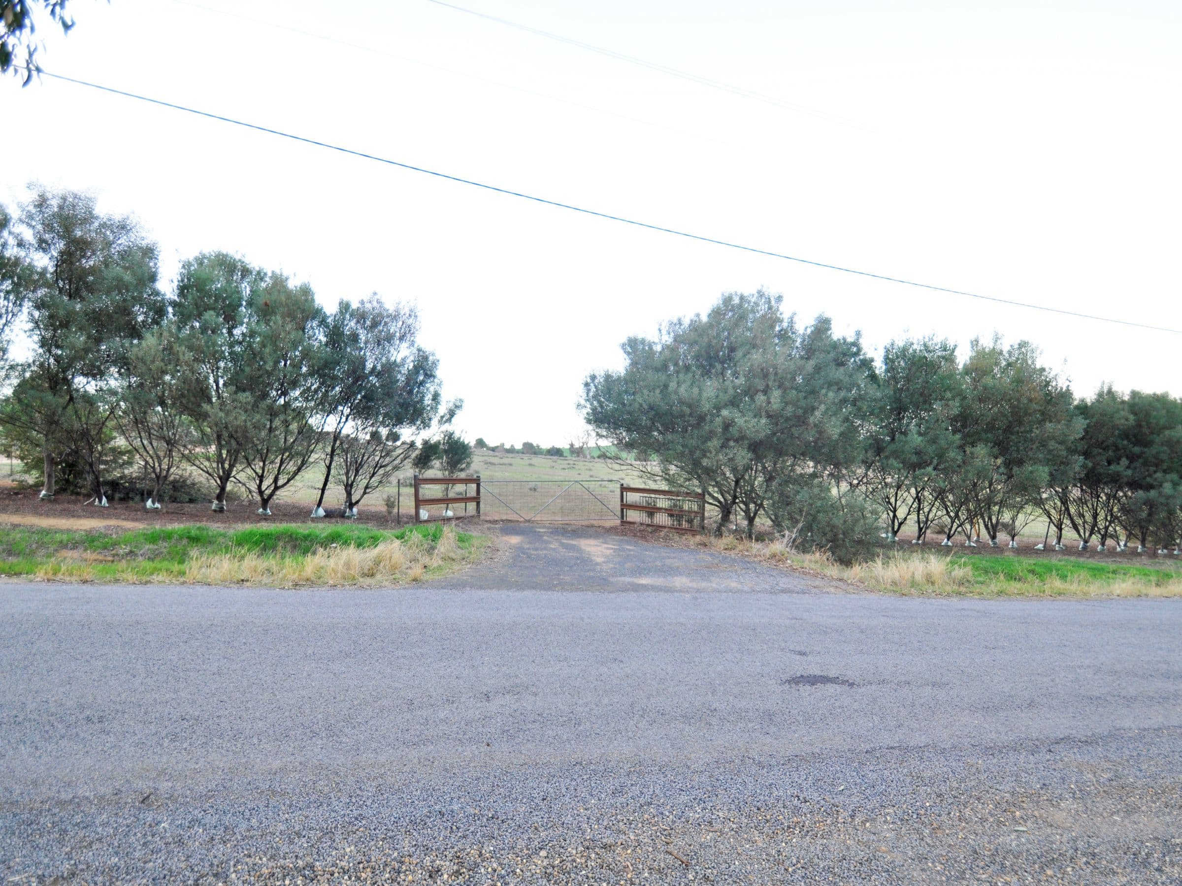 69 Tathra Drive, Junee NSW 2663, Junee - Thumbnail 7