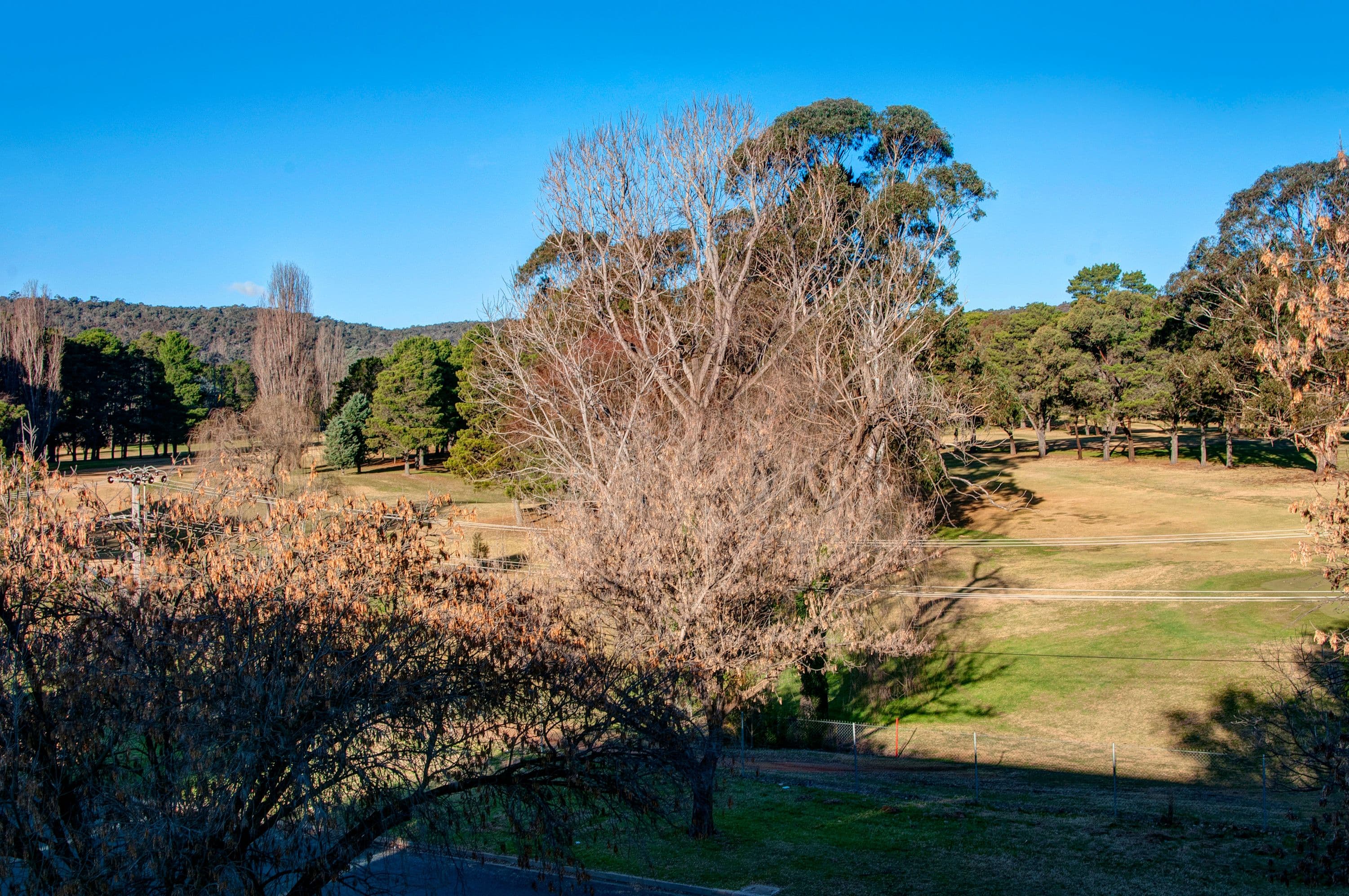 60 Trinculo Place, Queanbeyan East NSW 2620, Queanbeyan East - Thumbnail 6