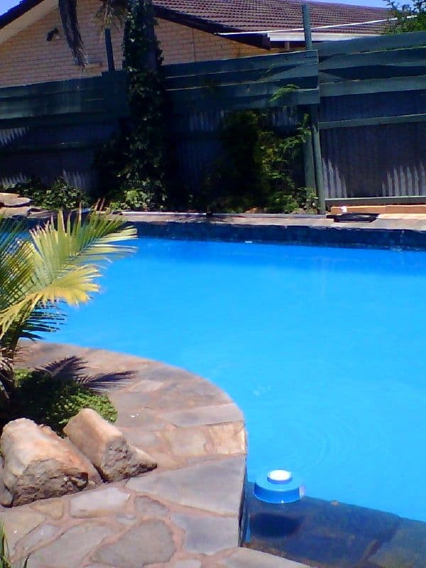 10 Jeff Street, PARA VISTA SA 5093, Para Vista - Thumbnail 4