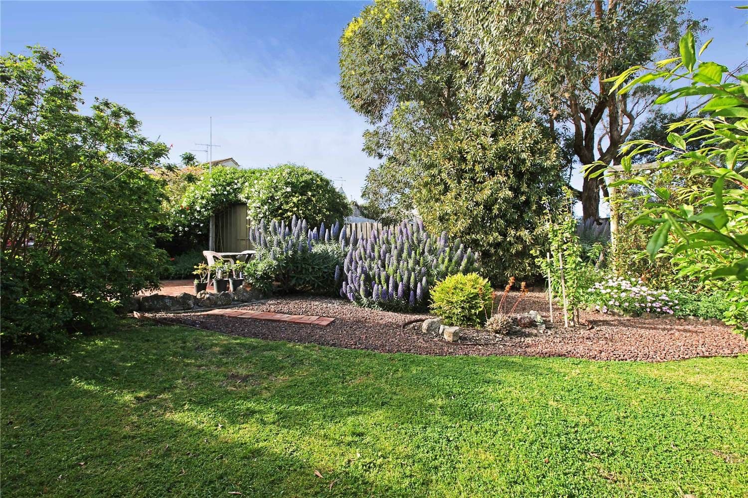 3 Amarina Road, CLIFTON SPRINGS VIC 3222, Clifton Springs - Thumbnail 8