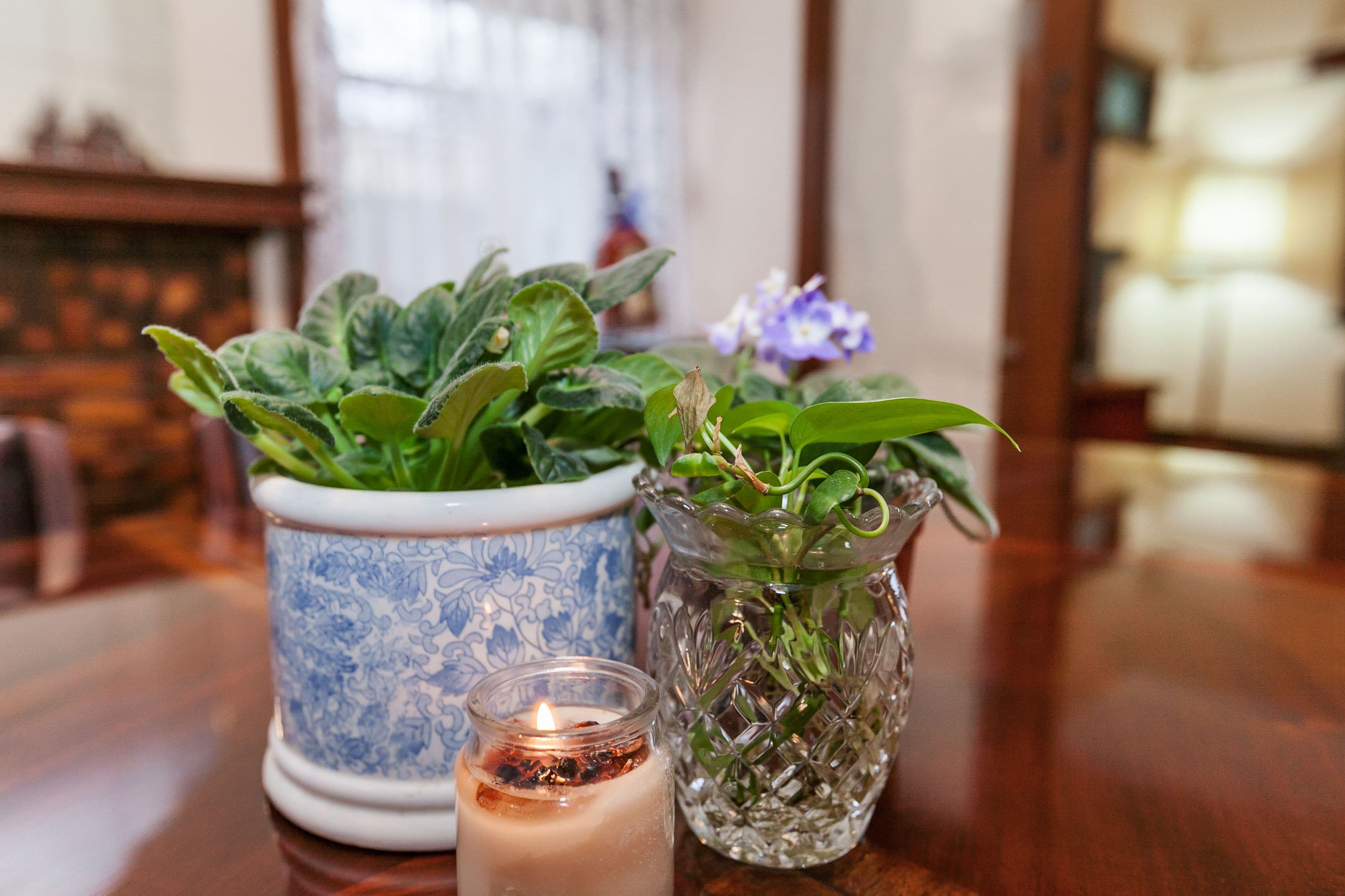 12 Cambrian Avenue, Preston VIC 3072, Preston - Thumbnail 6