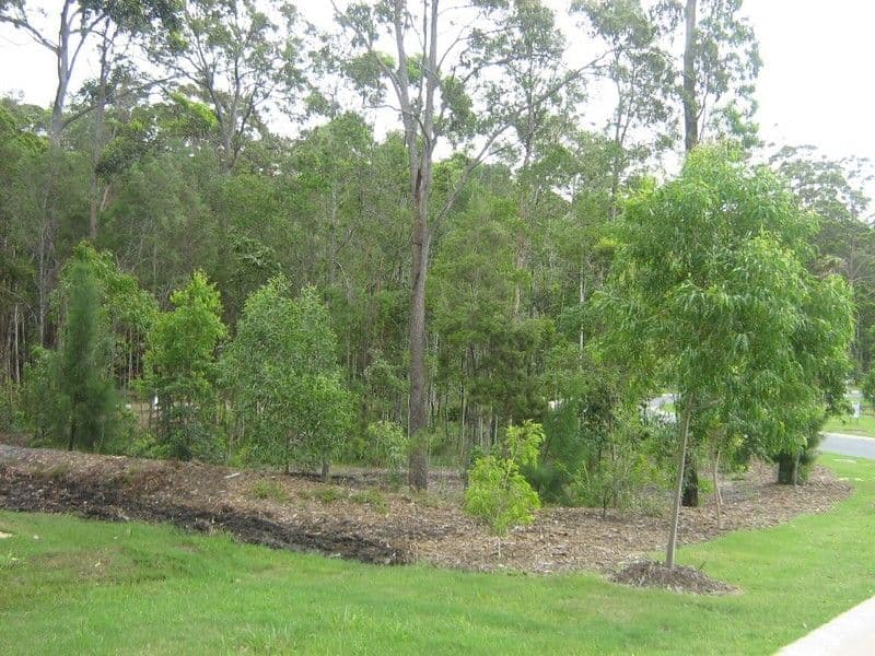 22 Byee Circuit, AROONA QLD 4551, Aroona - Thumbnail 5