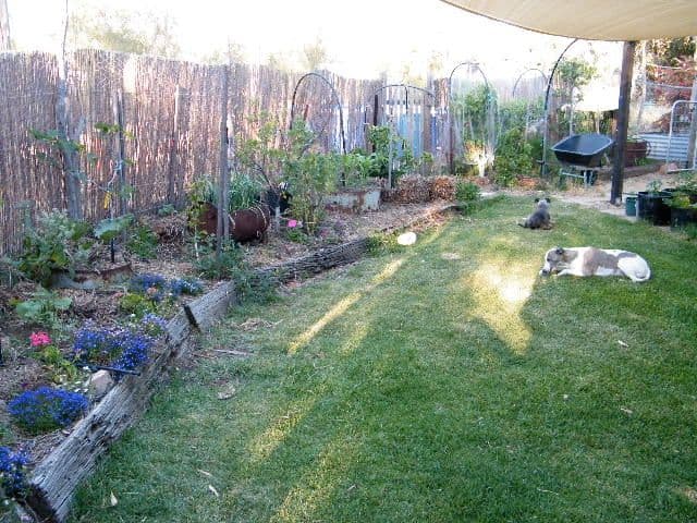 27 Railway Street, PANTAPIN WA 6384, Pantapin - Thumbnail 2