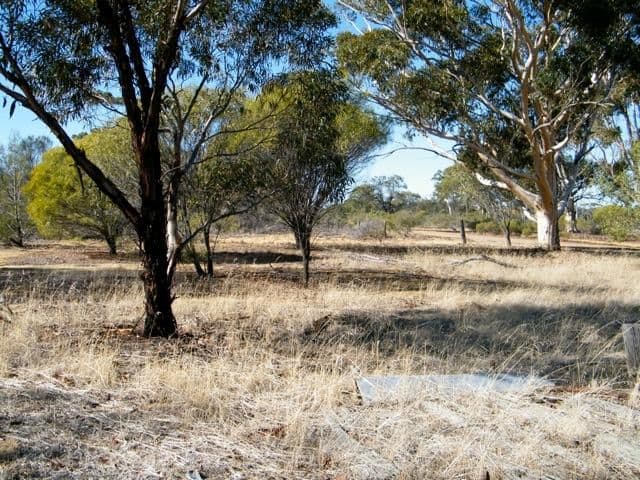 27 Railway Street, PANTAPIN WA 6384, Pantapin - Thumbnail 3