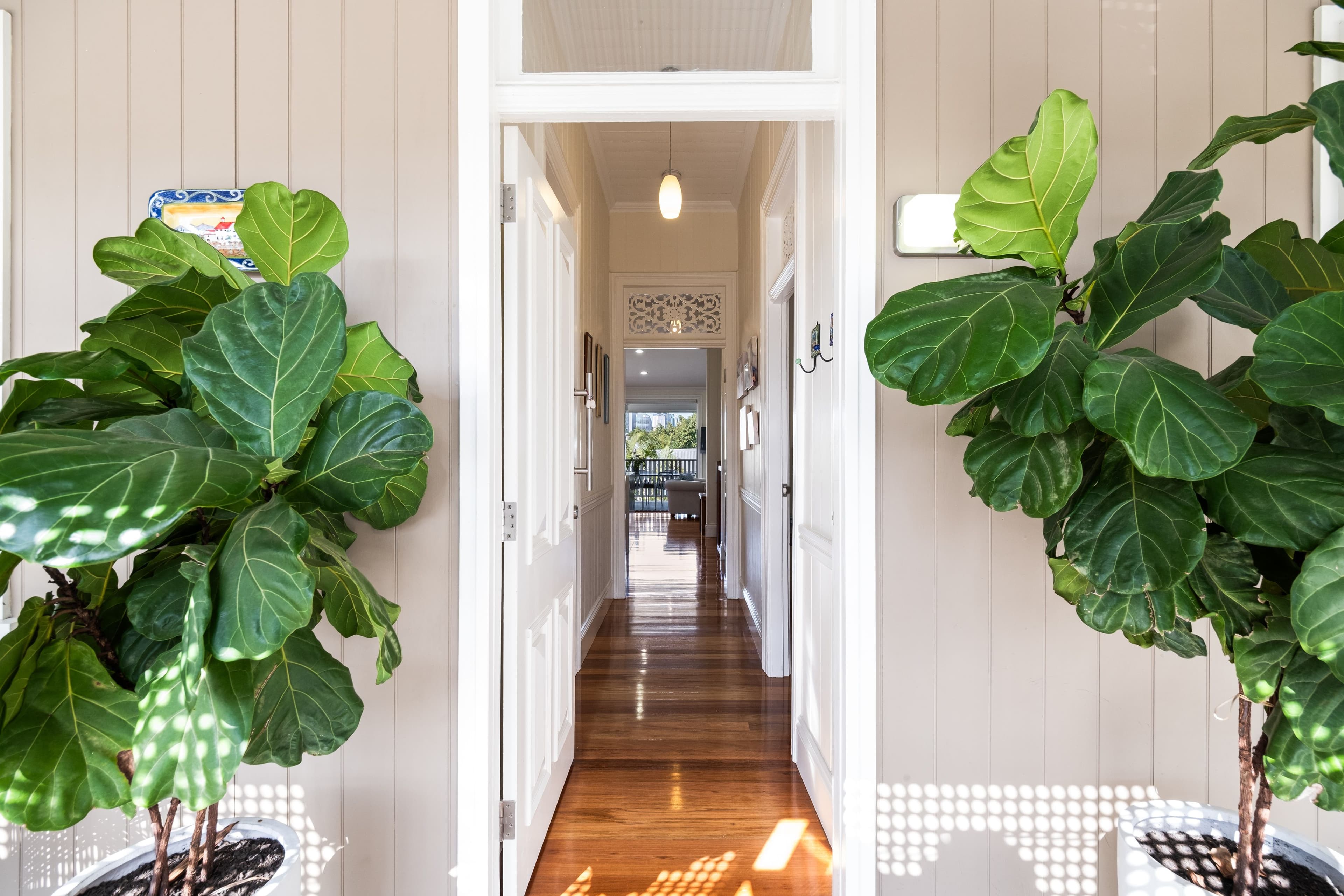 5 Martha Street, Paddington QLD 4064, Paddington - Thumbnail 3