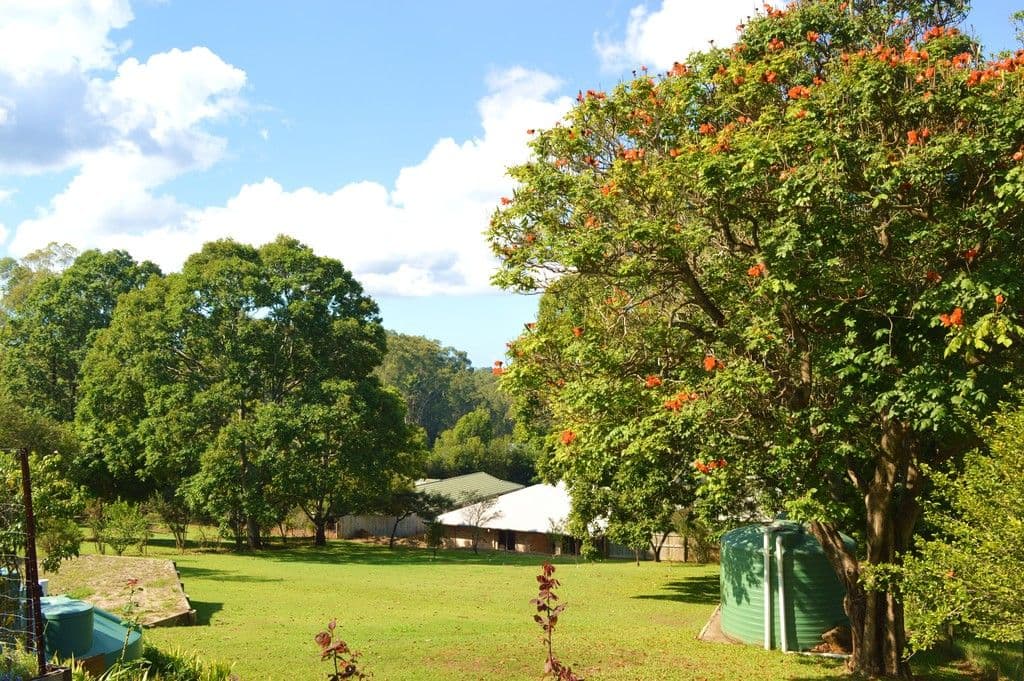 38 Buzaki Road, Glass House Mountains QLD 4518, Glass House Mountains - Thumbnail 2