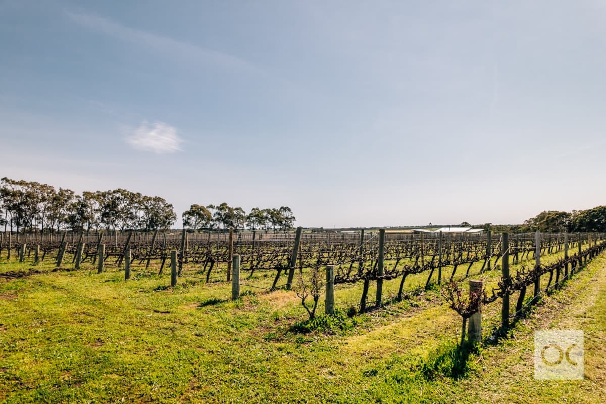 224 Aldinga Road, Whites Valley - Thumbnail 5
