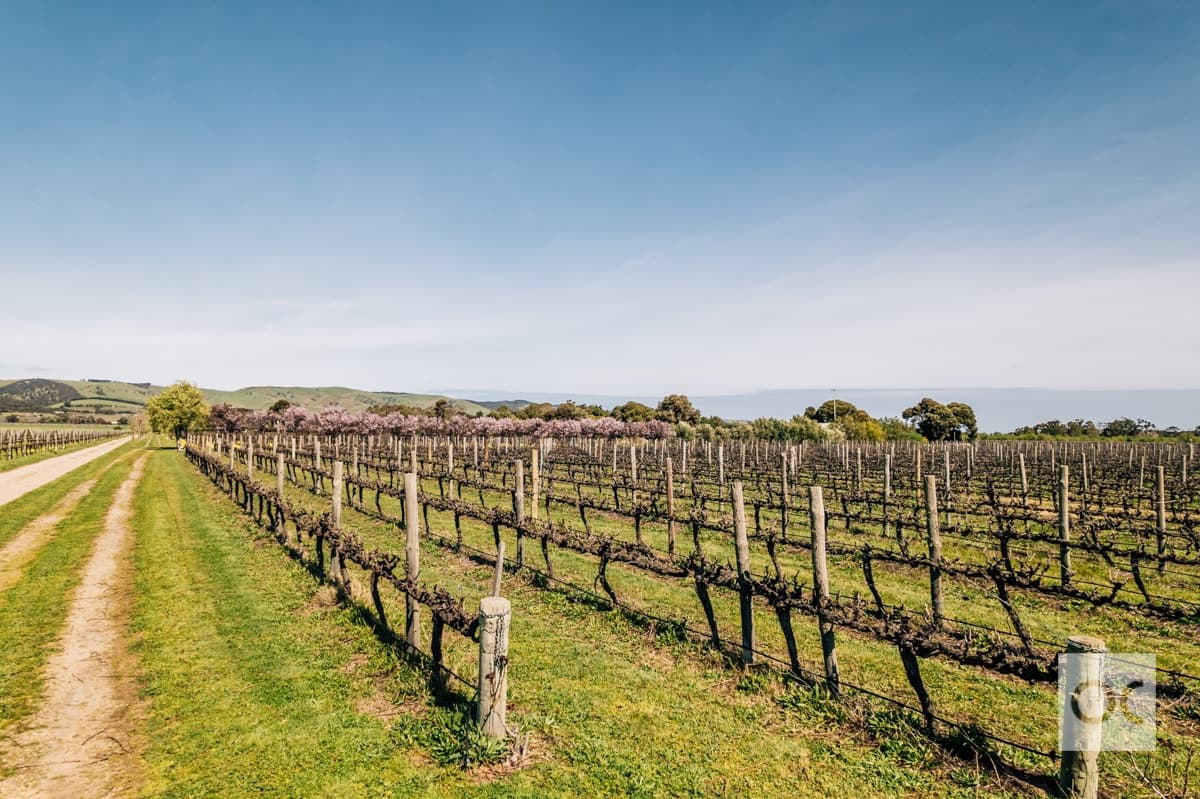 224 Aldinga Road, Whites Valley - Thumbnail 7