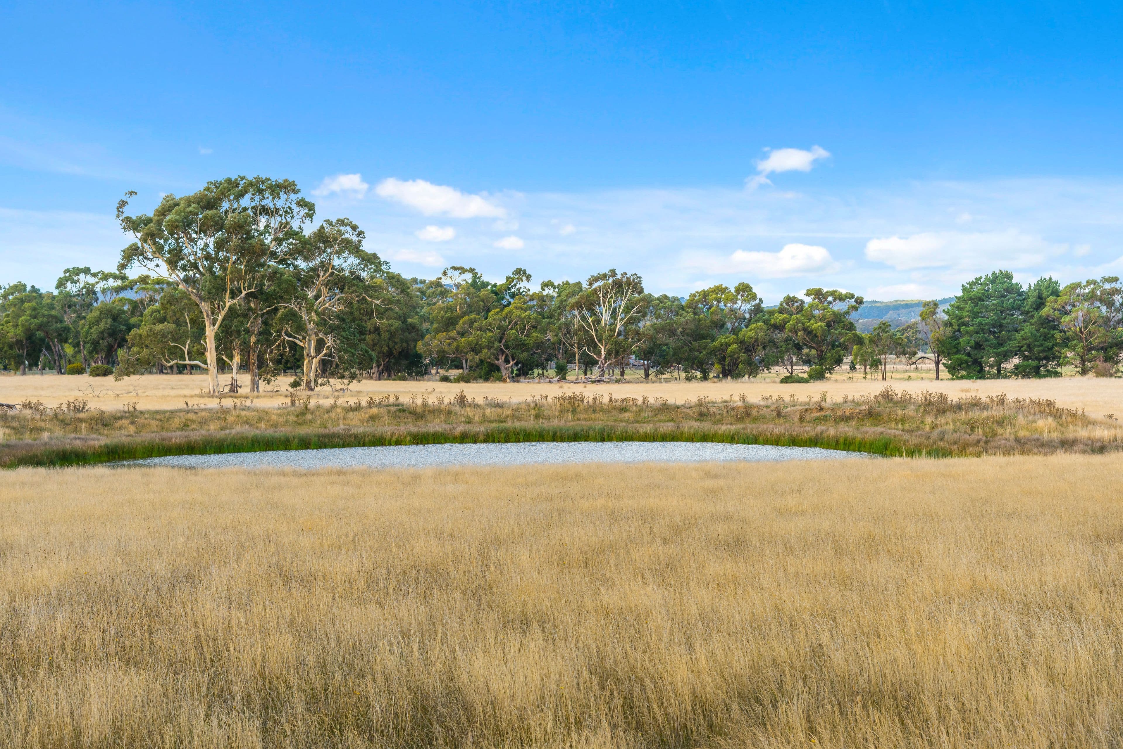 103 Williatts Lane, Pipers Creek VIC 3444, Pipers Creek - Thumbnail 3