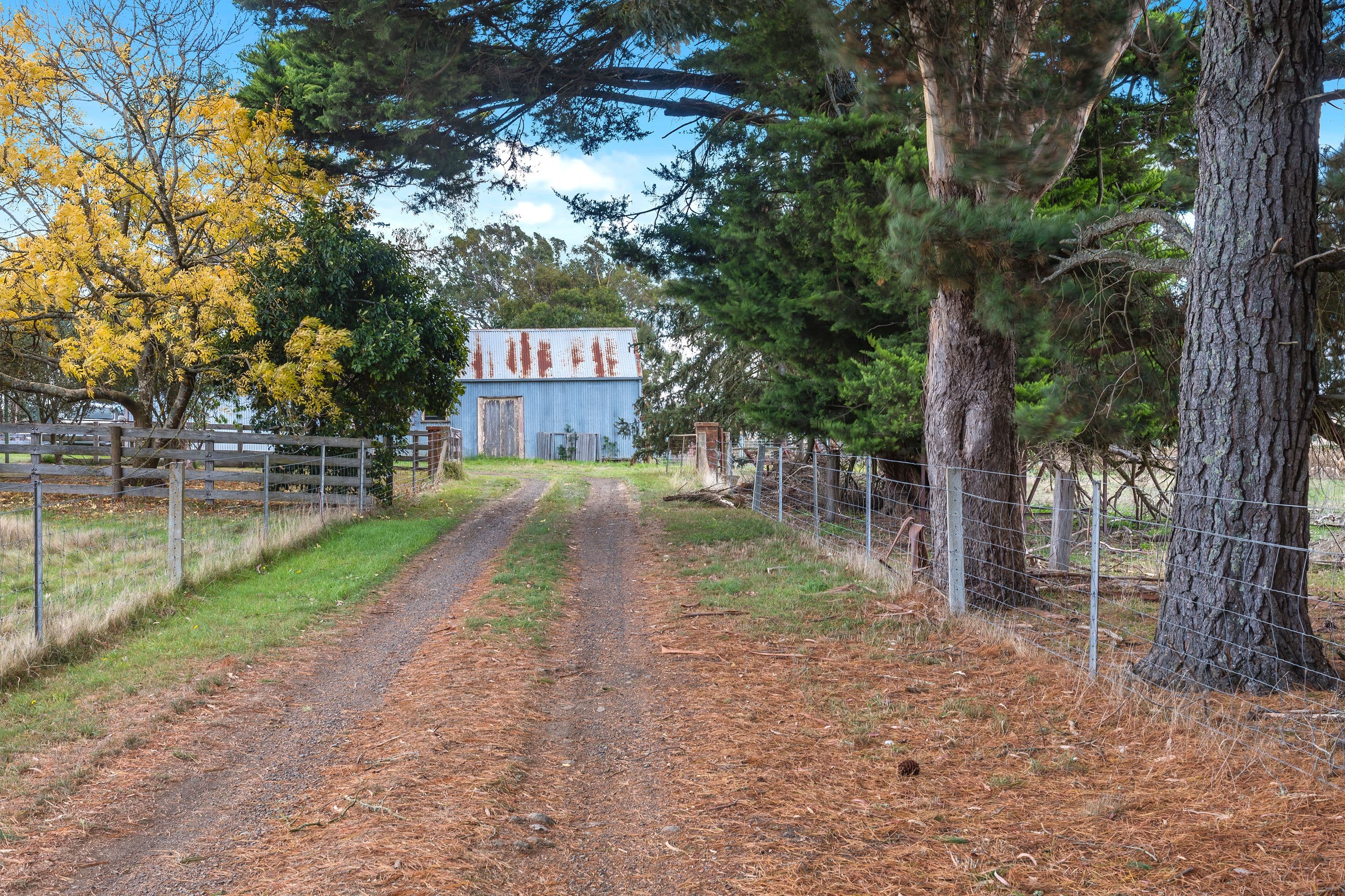 103 Williatts Lane, Pipers Creek VIC 3444, Pipers Creek - Thumbnail 4