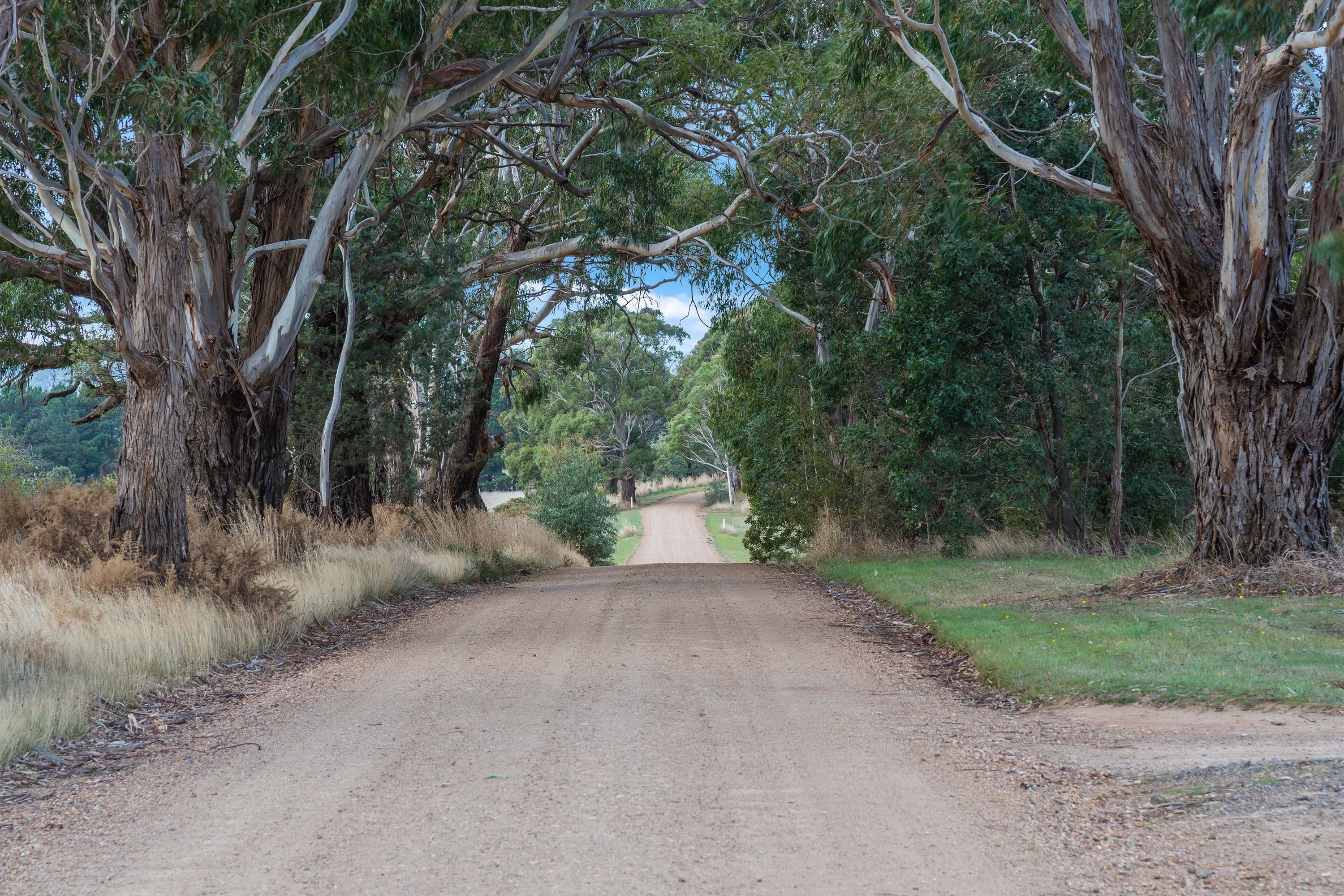 103 Williatts Lane, Pipers Creek VIC 3444, Pipers Creek - Thumbnail 5