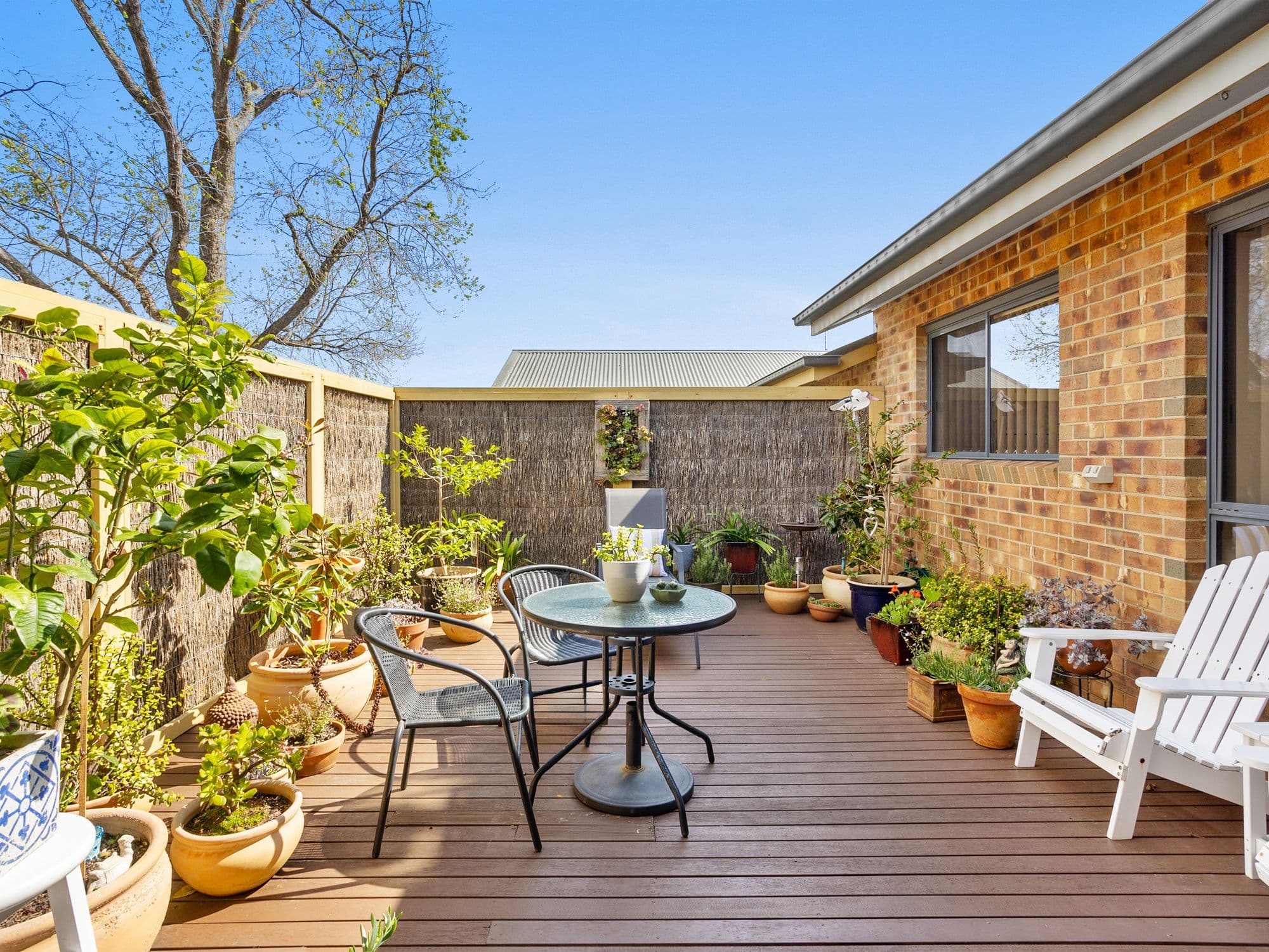 4 Rosemore Road, Rosebud VIC 3939, Rosebud - Thumbnail 7