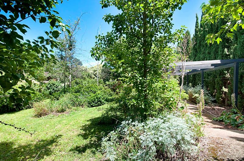 55 Ashburn Grove, ASHBURTON VIC 3147, Ashburton - Thumbnail 5