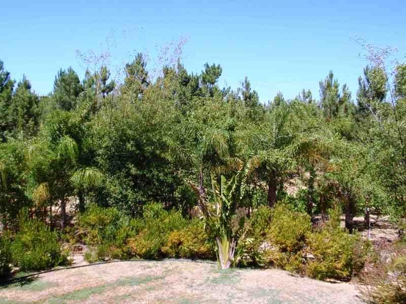 74 Sandalwood, GABBADAH WA 6041, Gabbadah - Thumbnail 7