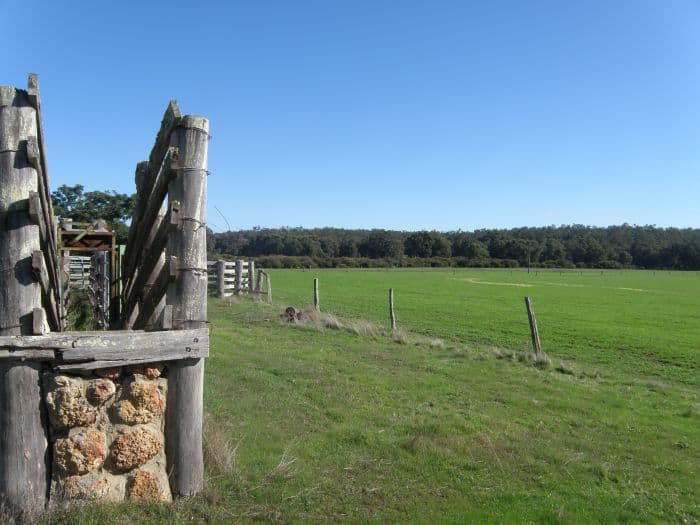 Lot 11166 Guthridge Road, Nannup WA 6275, Nannup - Image 1