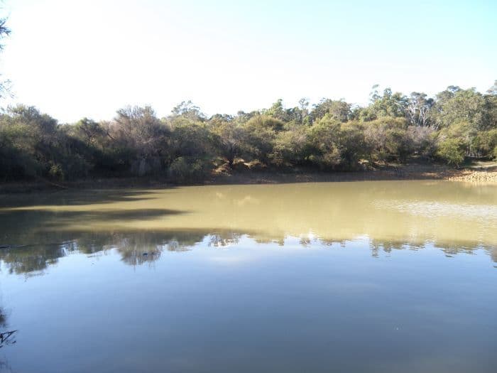 Lot 11166 Guthridge Road, Nannup WA 6275, Nannup - Thumbnail 3