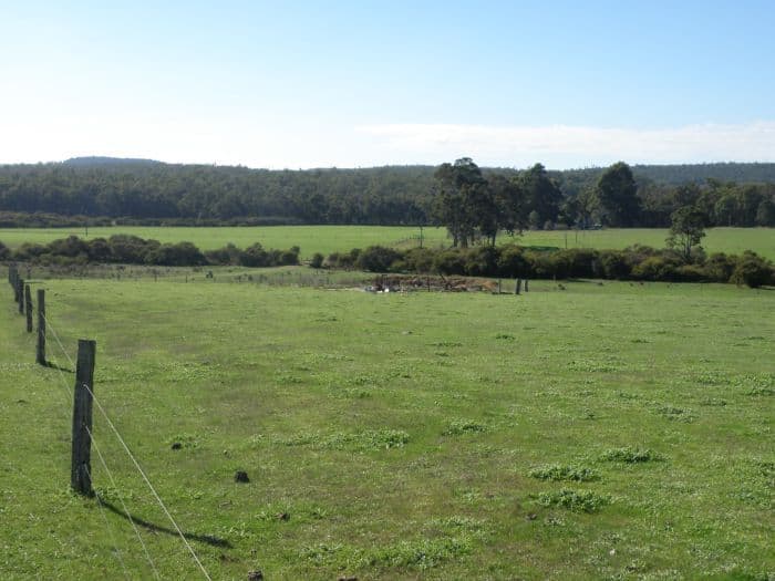 Lot 11166 Guthridge Road, Nannup WA 6275, Nannup - Thumbnail 4