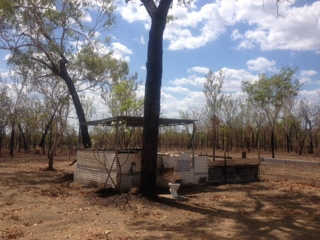 175 Wright Road, Marrakai NT 0822, Marrakai - Thumbnail 5