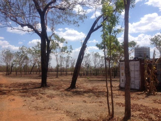 175 Wright Road, Marrakai NT 0822, Marrakai - Thumbnail 6