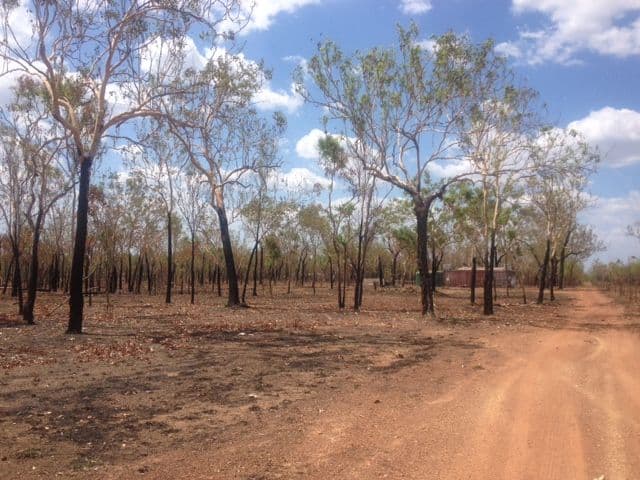 175 Wright Road, Marrakai NT 0822, Marrakai - Thumbnail 7