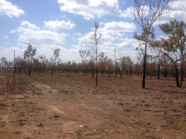 175 Wright Road, Marrakai NT 0822, Marrakai - Thumbnail 8