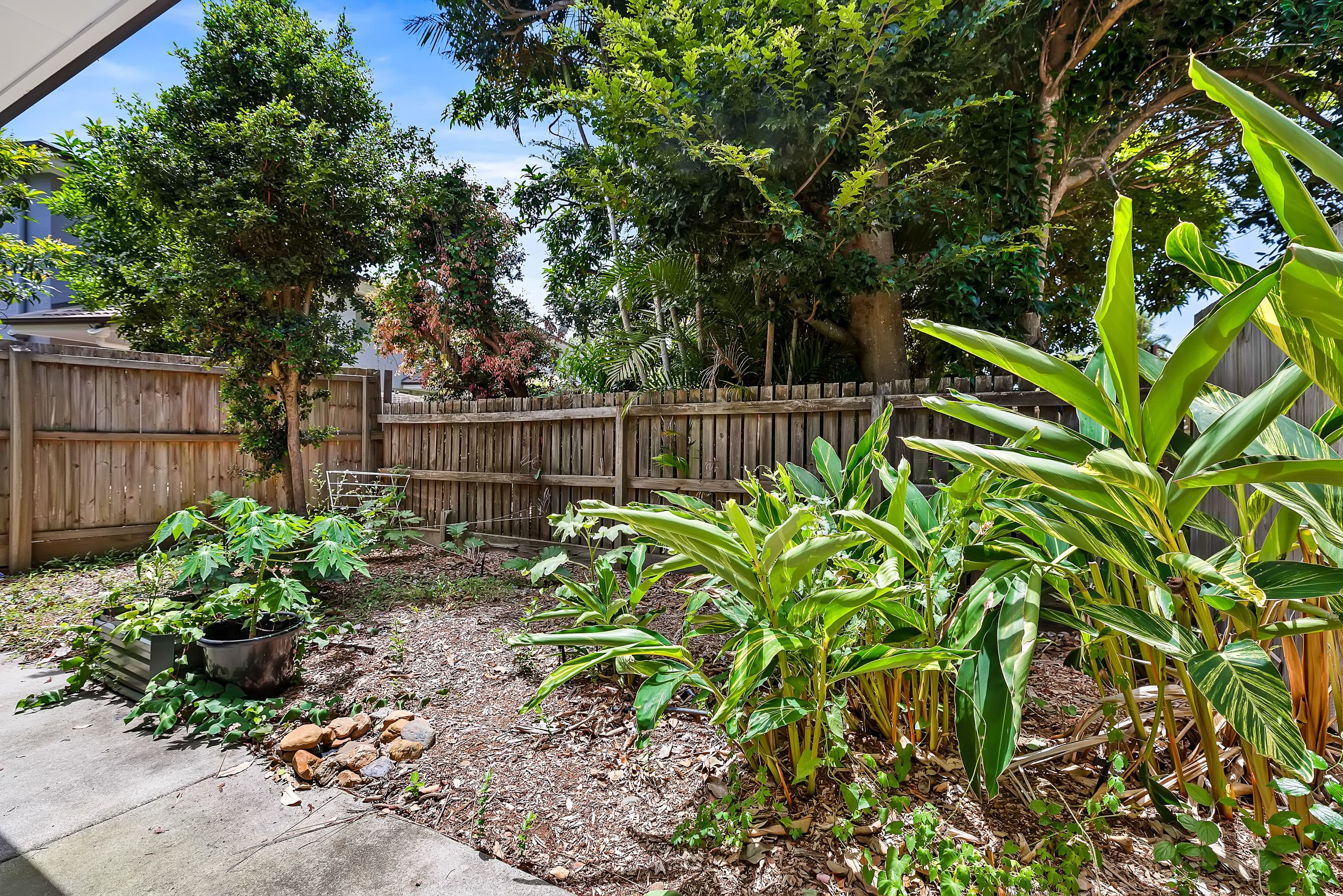 17 Magree Street, Kallangur QLD 4503, Kallangur - Thumbnail 8