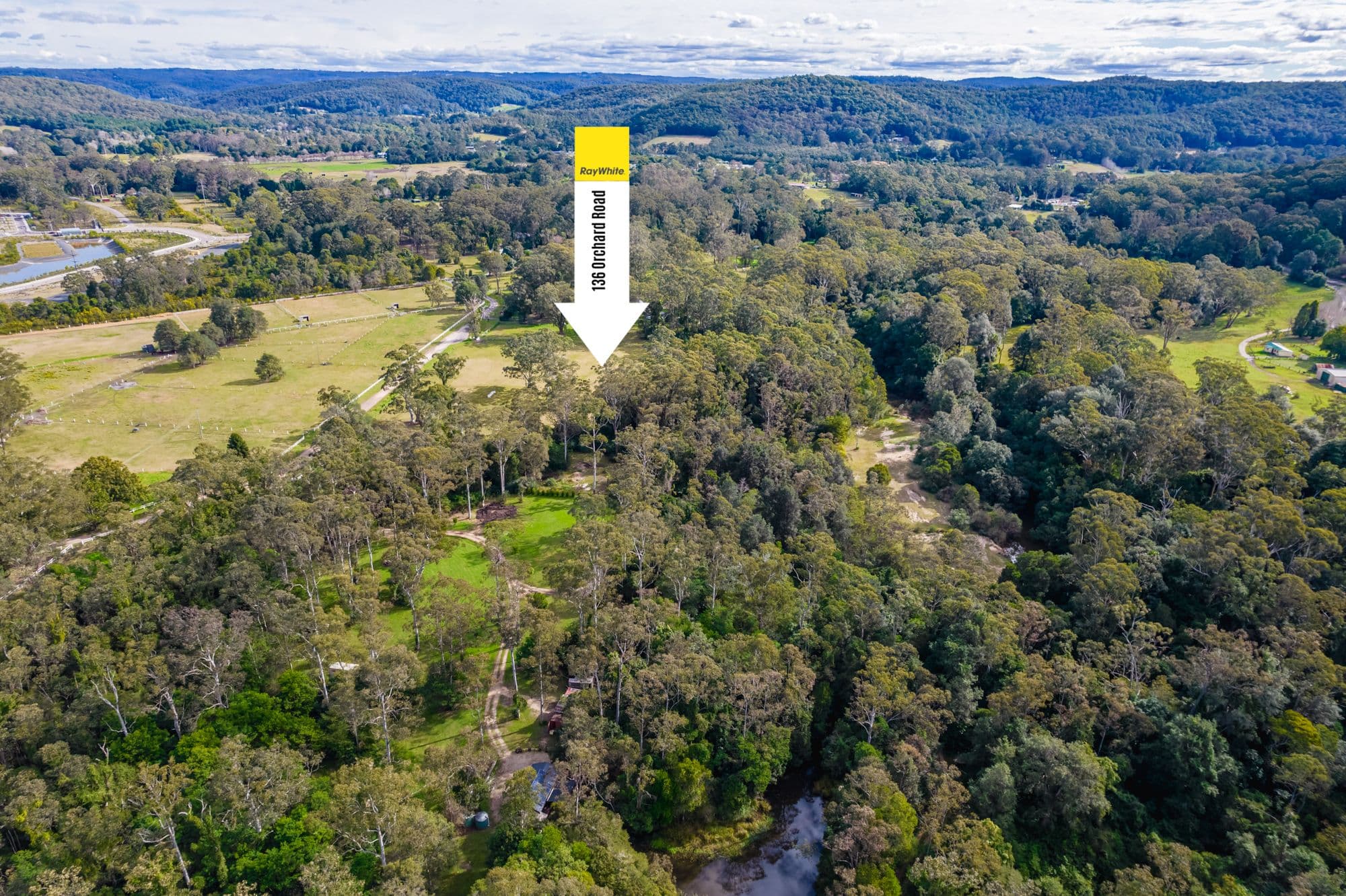 136 Orchard Road, Kangy Angy NSW 2258, Kangy Angy - Thumbnail 5