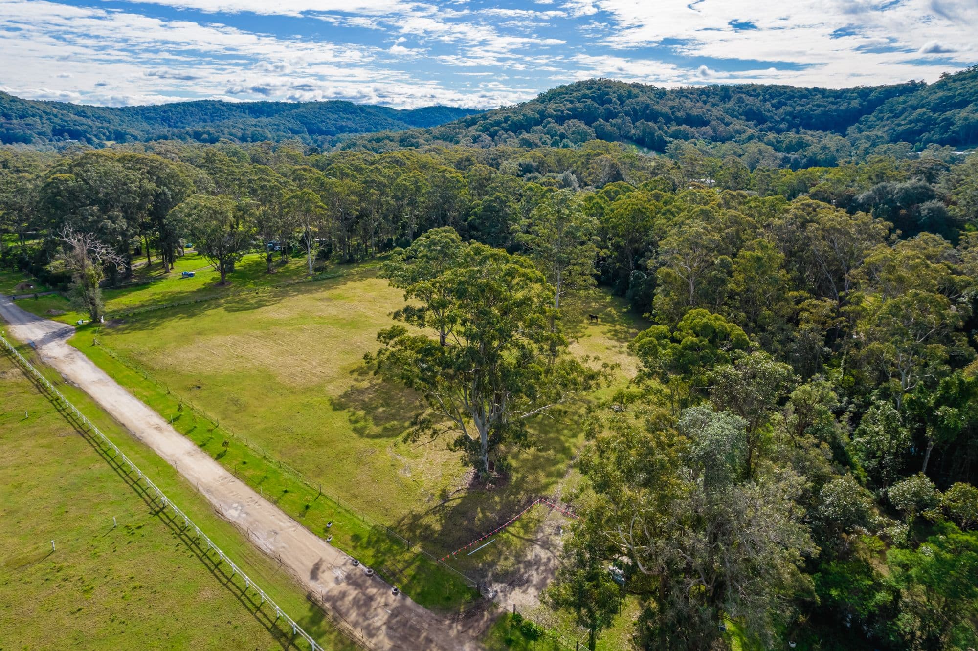 136 Orchard Road, Kangy Angy NSW 2258, Kangy Angy - Thumbnail 6