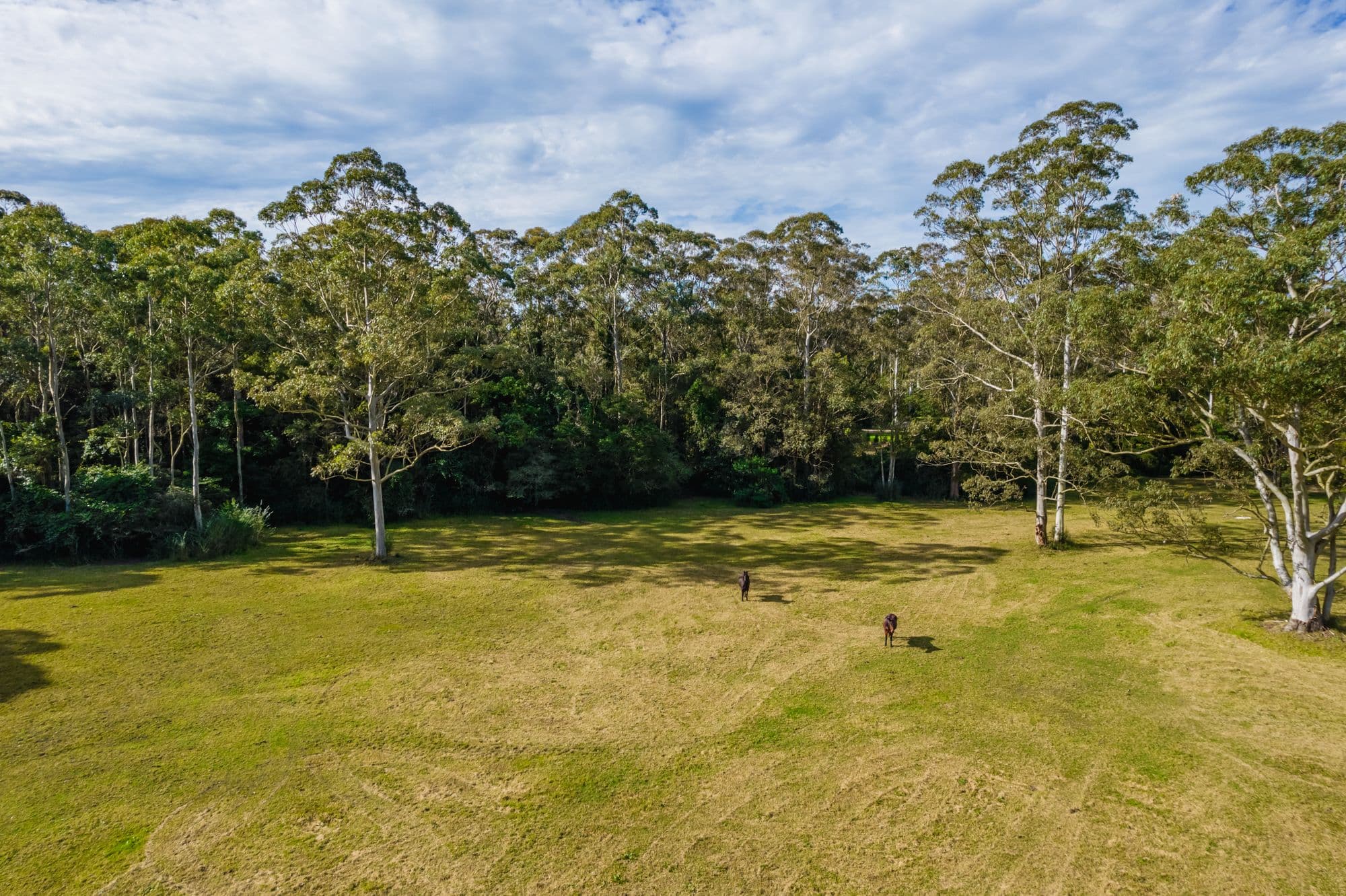 136 Orchard Road, Kangy Angy NSW 2258, Kangy Angy - Thumbnail 7