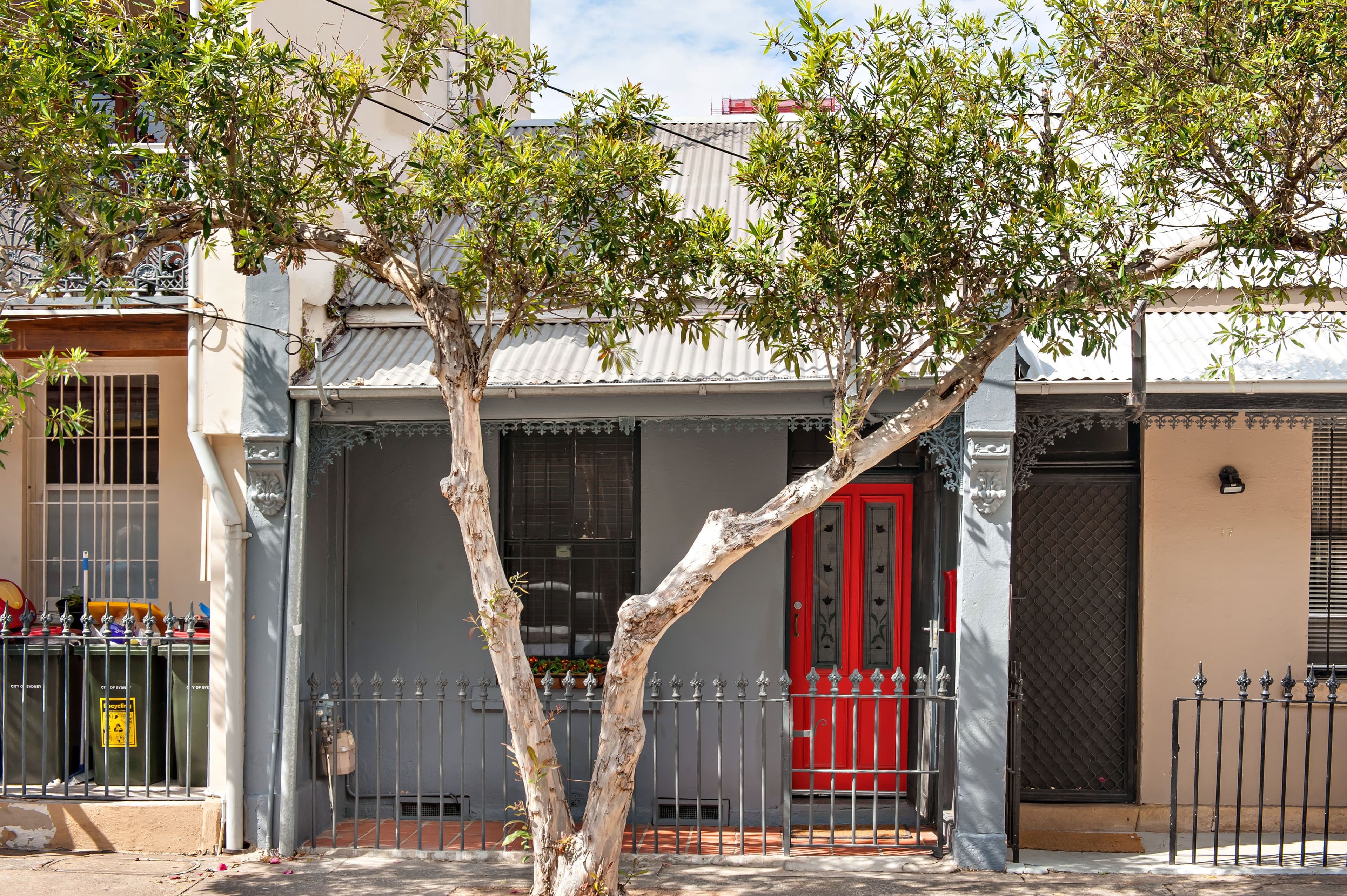 19 Briggs Street, Camperdown - Thumbnail 2